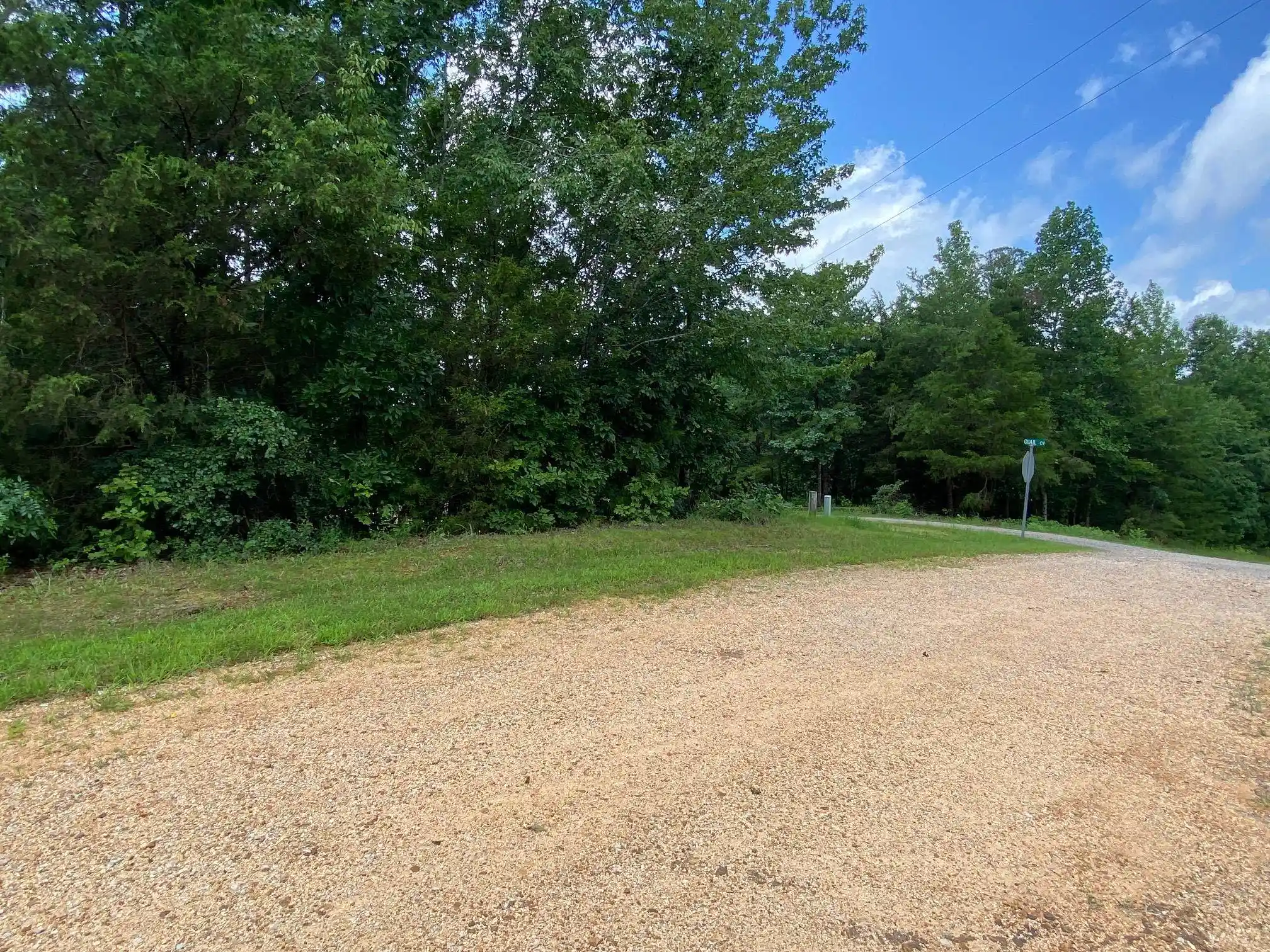 1st image of 11 Bald Eagle Dr, Morris Chapel, TN 38361 | MLS# 10226855