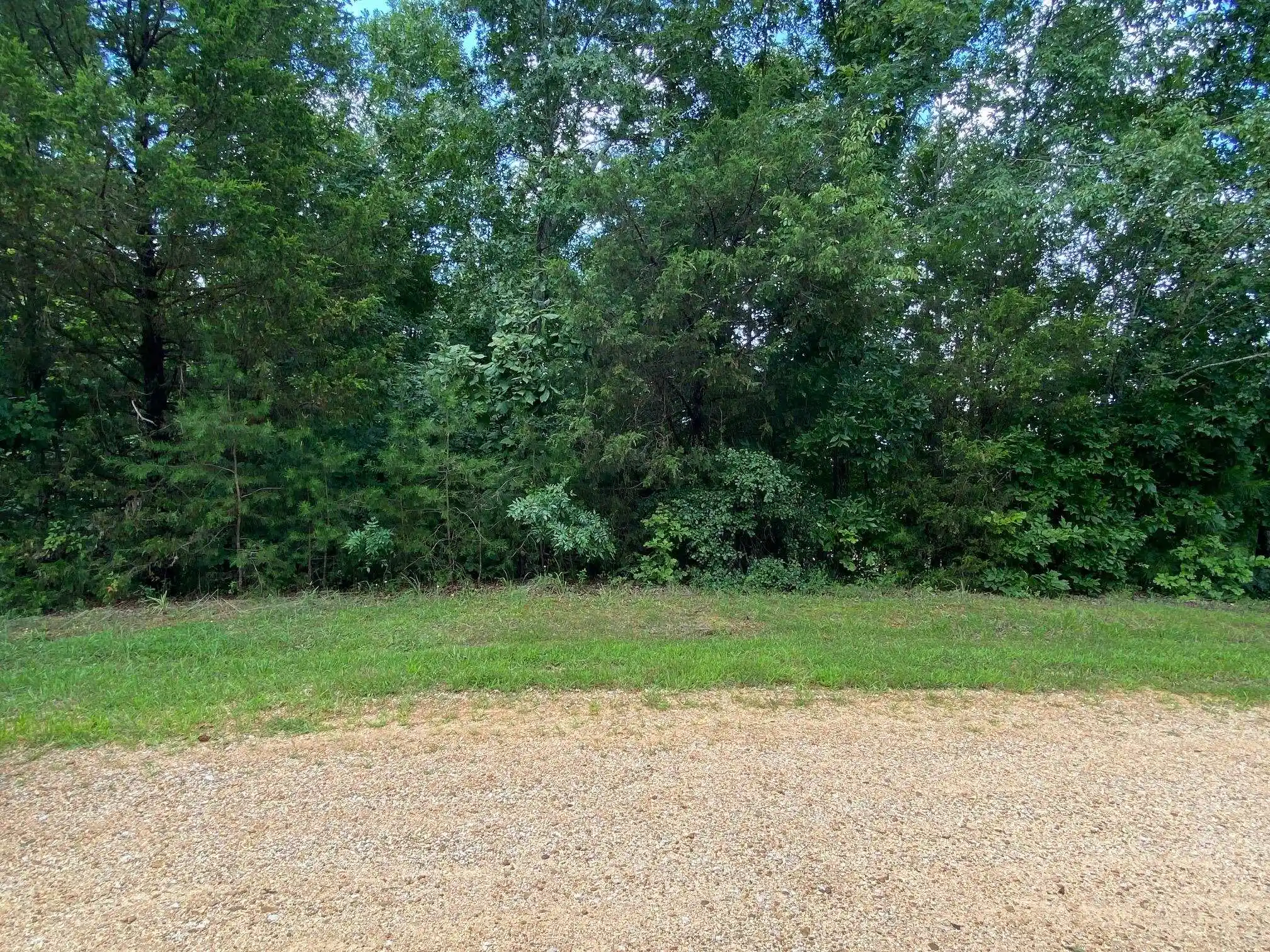 5th image of 11 Bald Eagle Dr, Morris Chapel, TN 38361 | MLS# 10226855