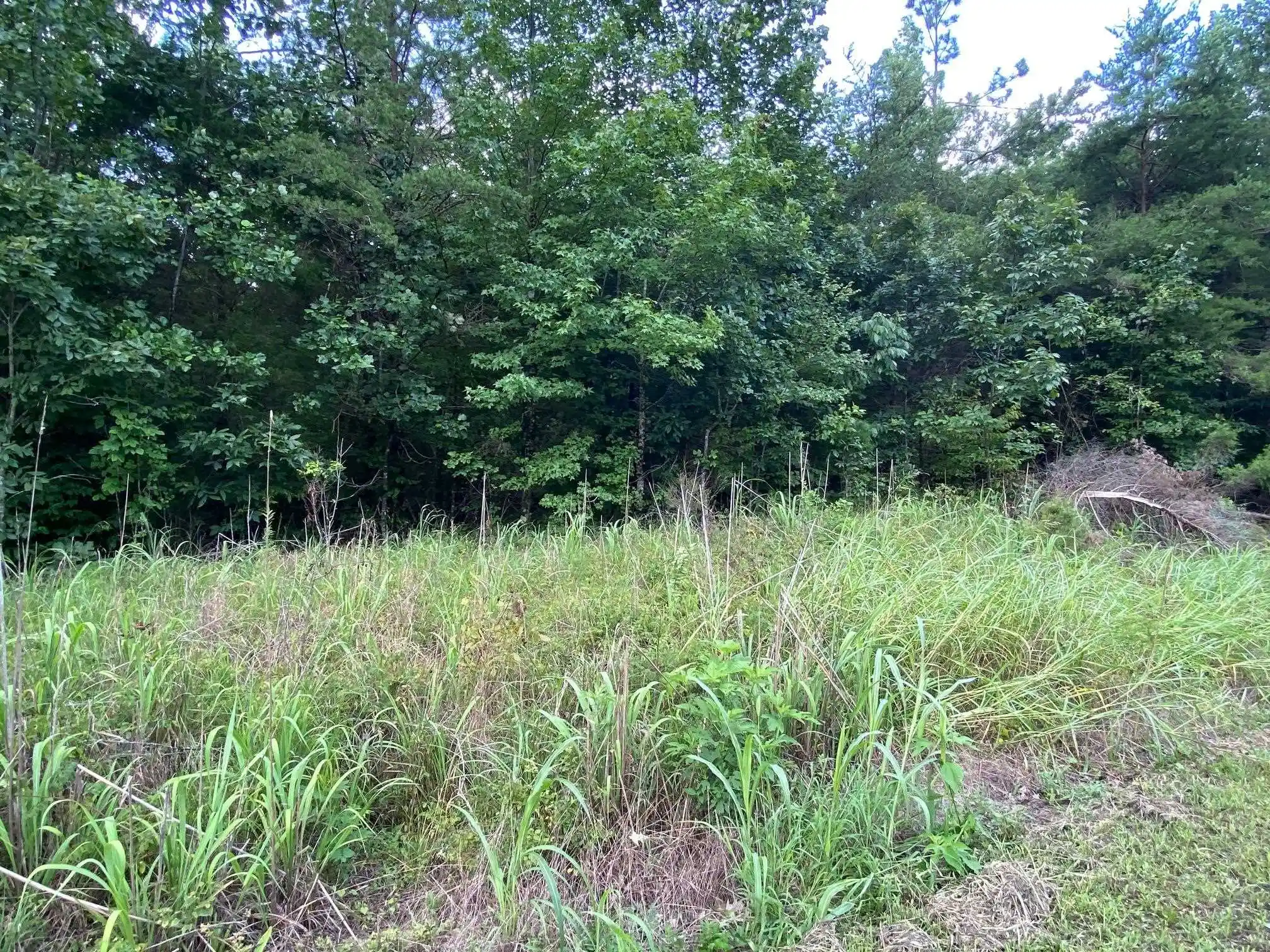 3rd image of Tract 3 Glendale Rd, Morris Chapel, TN 38361 | MLS# 10226864