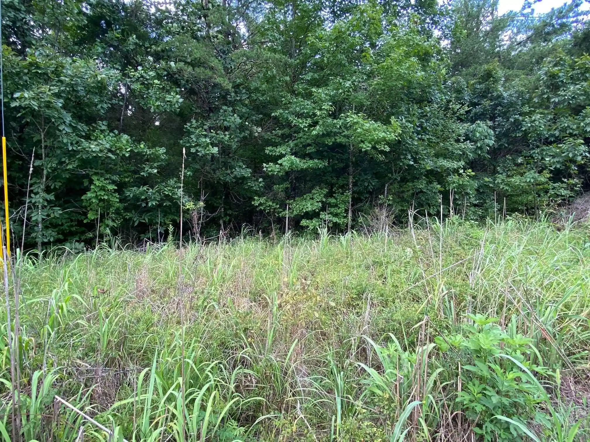 4th image of Tract 3 Glendale Rd, Morris Chapel, TN 38361 | MLS# 10226864
