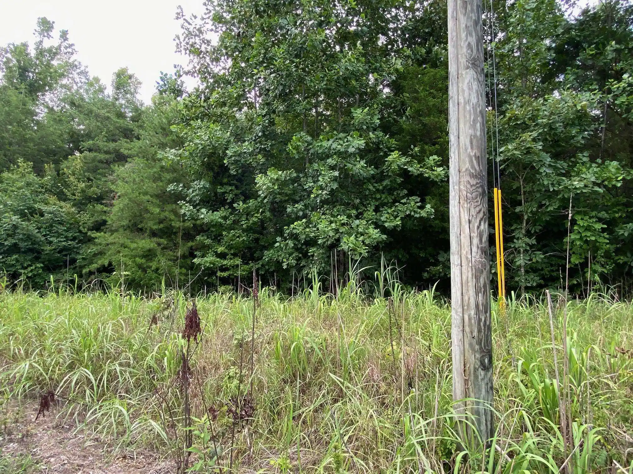 5th image of Tract 3 Glendale Rd, Morris Chapel, TN 38361 | MLS# 10226864