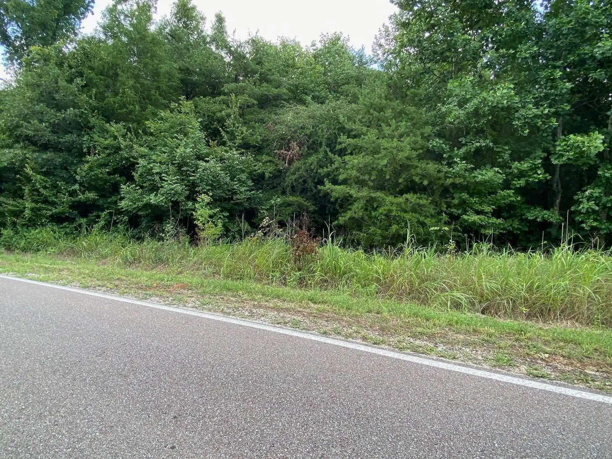1st image of Gendale & Bald Eagle Dr, Morris Chapel, TN 38361 | MLS# 10226867