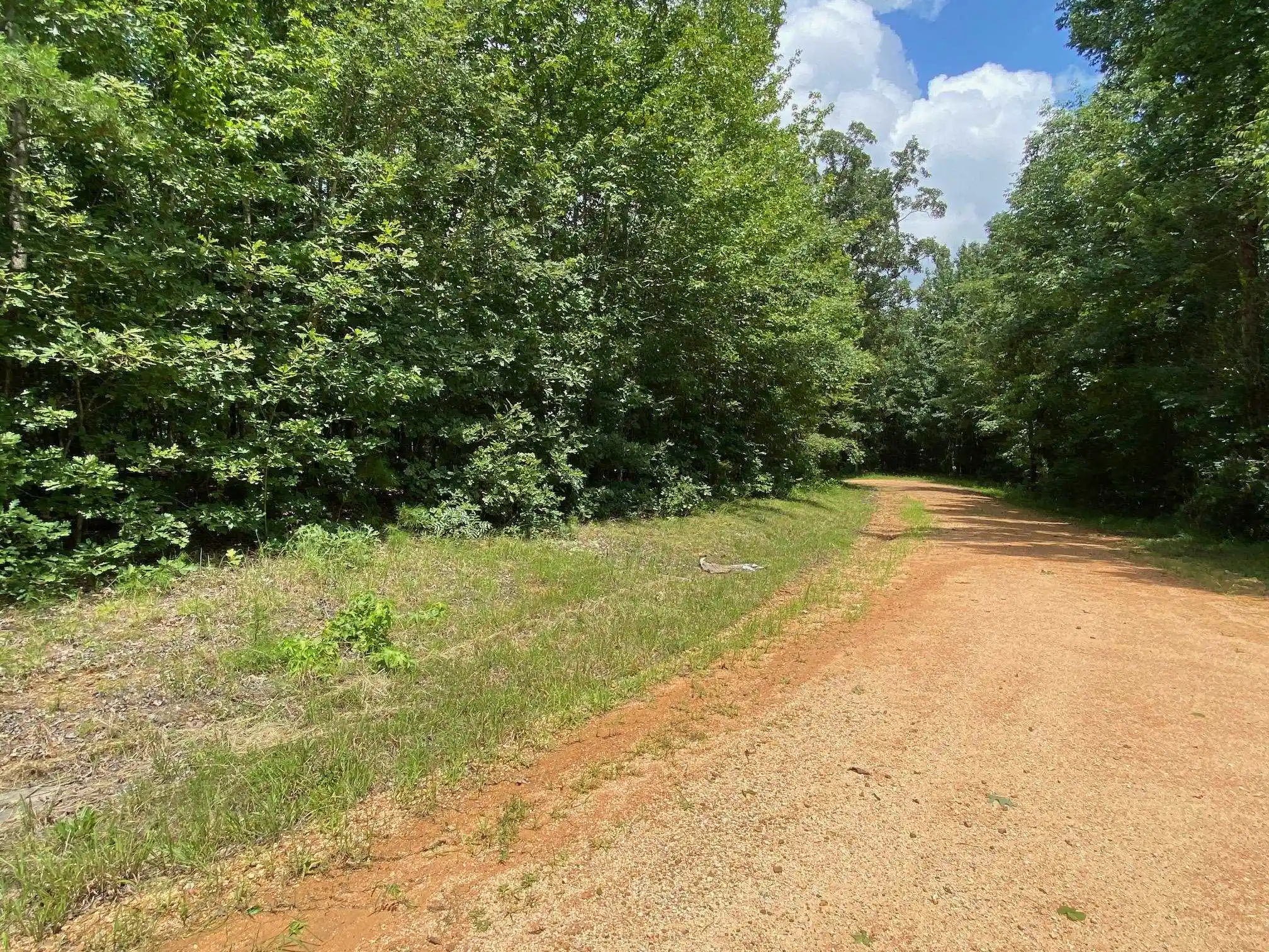 5th image of Gendale & Bald Eagle Dr, Morris Chapel, TN 38361 | MLS# 10226867