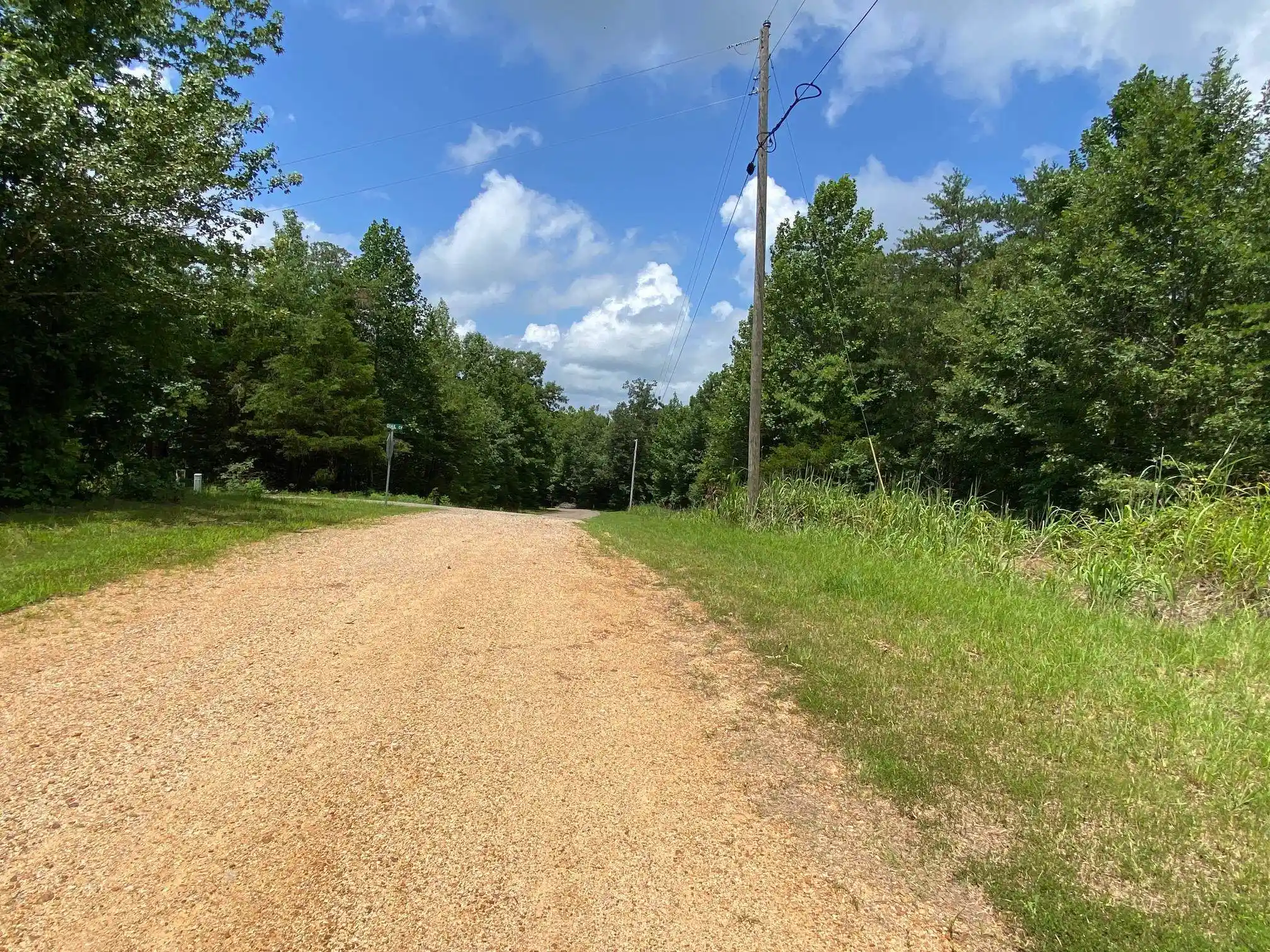 22nd image of Gendale & Bald Eagle Dr, Morris Chapel, TN 38361 | MLS# 10226867