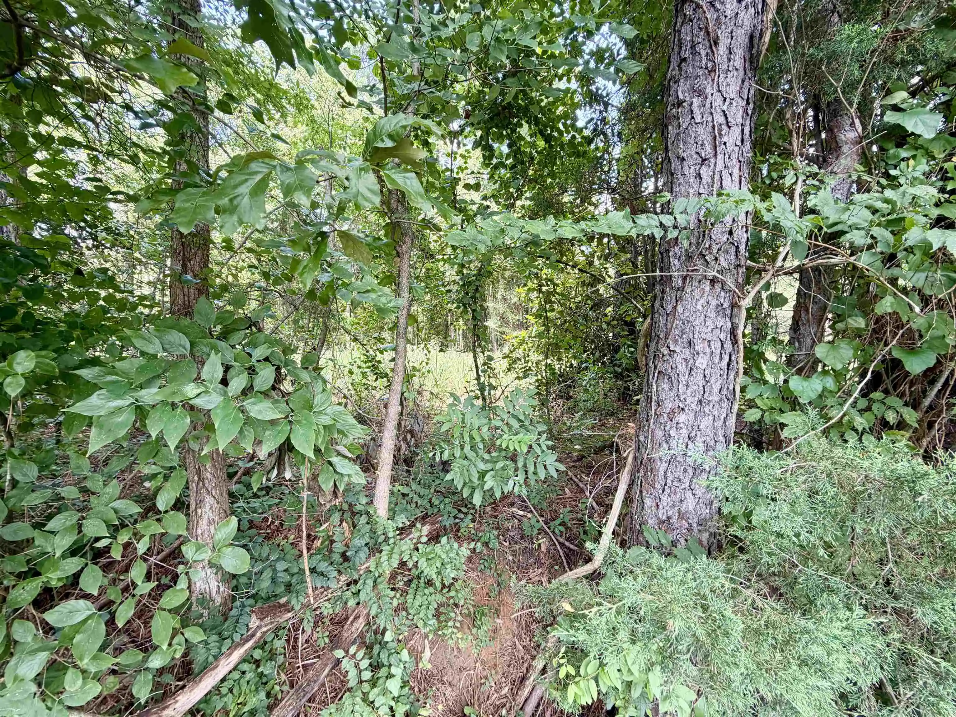 3rd image of 0 Farber Dr, Adamsville, TN 38310 | MLS# 10226879