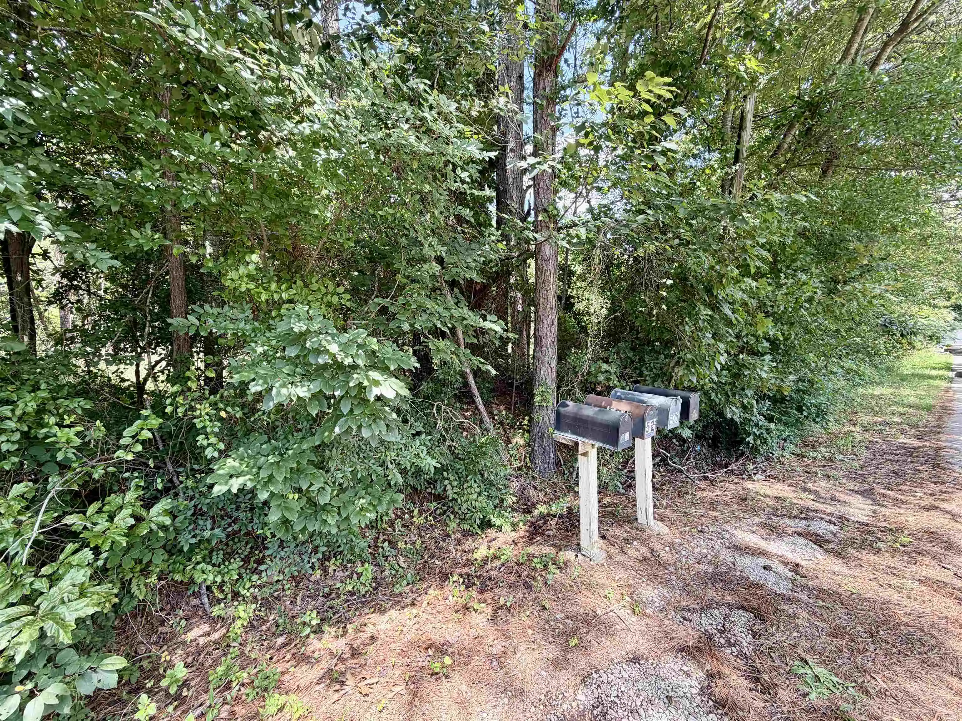 4th image of 0 Farber Dr, Adamsville, TN 38310 | MLS# 10226879