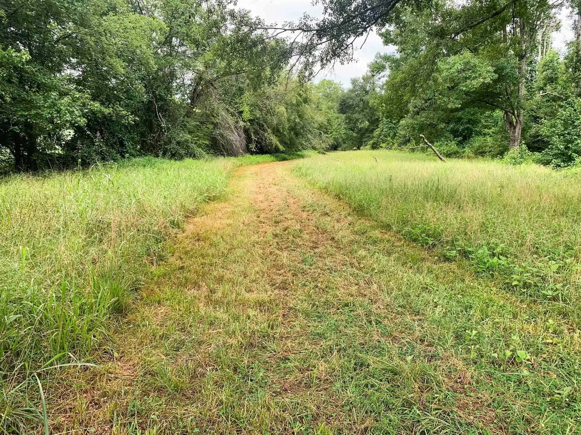 39th image of 2029 Chewalla Rd, Ramer, TN 38367 | MLS# 10226887