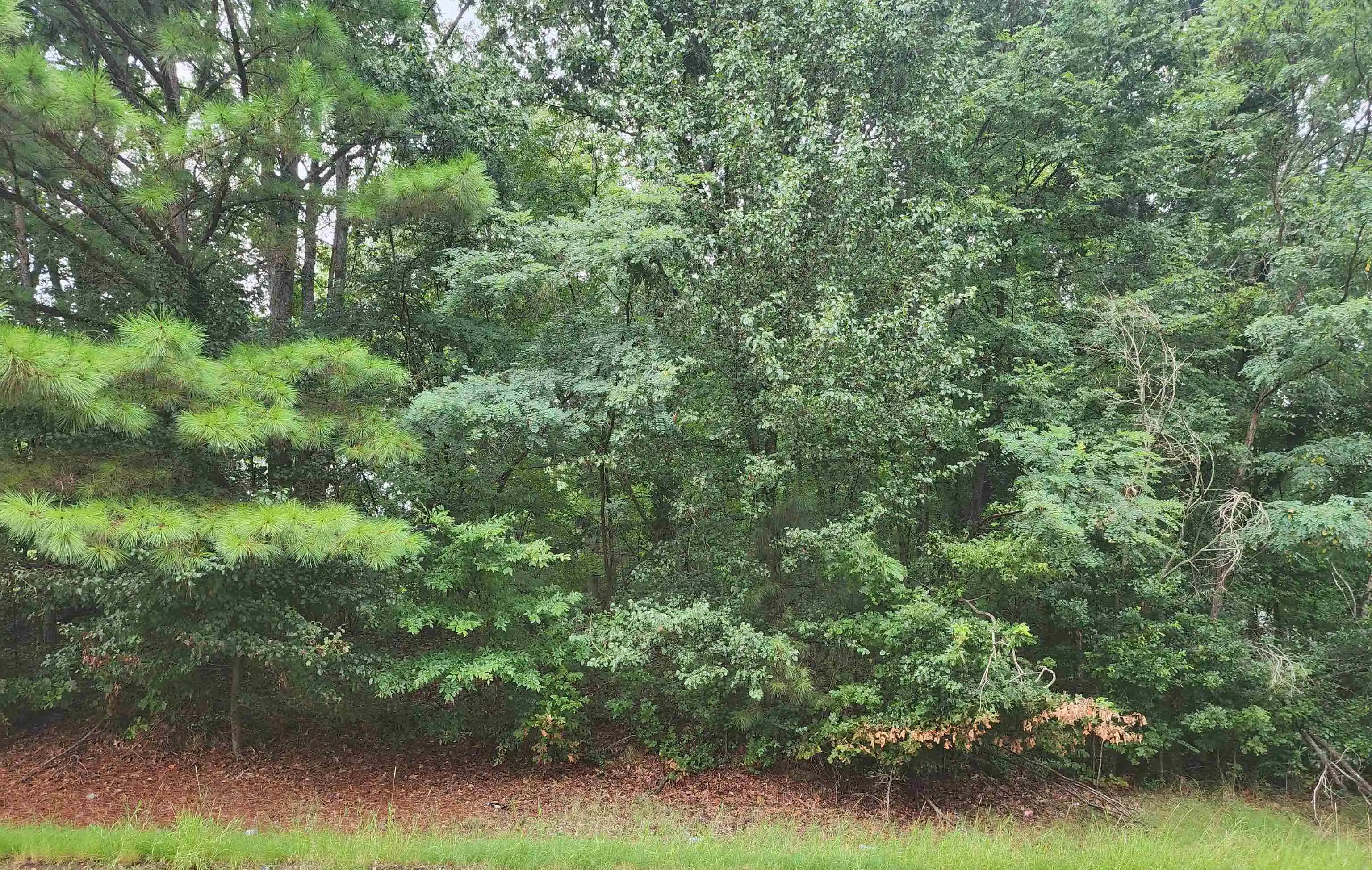 Photo 3 of Land for sale at 0 Hayes Rd, Arlington, TN 38002 | MLS# 10226970 | Listing updated on 2026-07-26