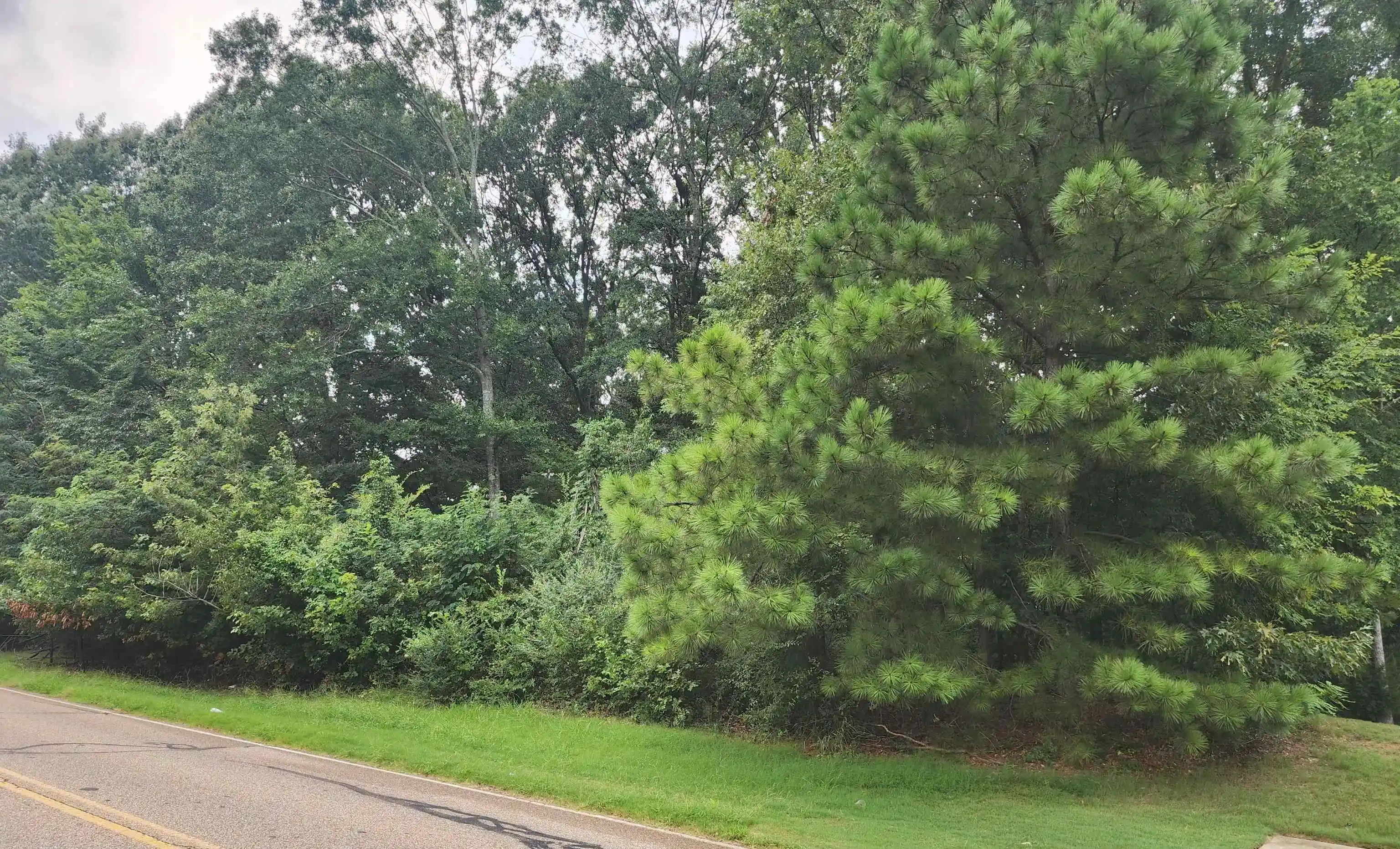 Photo 4 of Land for sale at 0 Hayes Rd, Arlington, TN 38002 | MLS# 10226970 | Listing updated on 2026-07-26