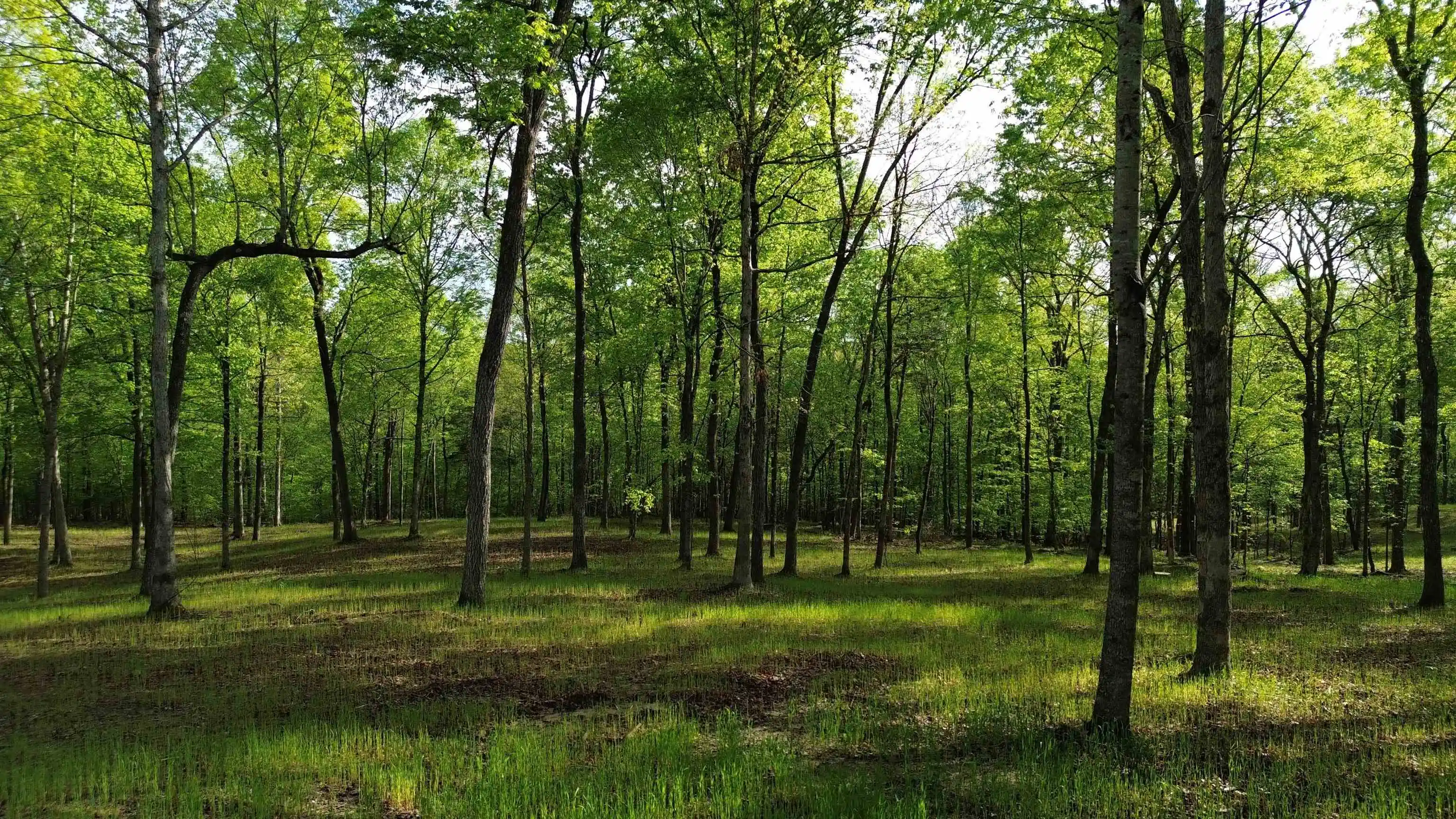 2nd image of 0 Kaw Liga Dr, Bath Springs, TN 38311 | MLS# 10226976