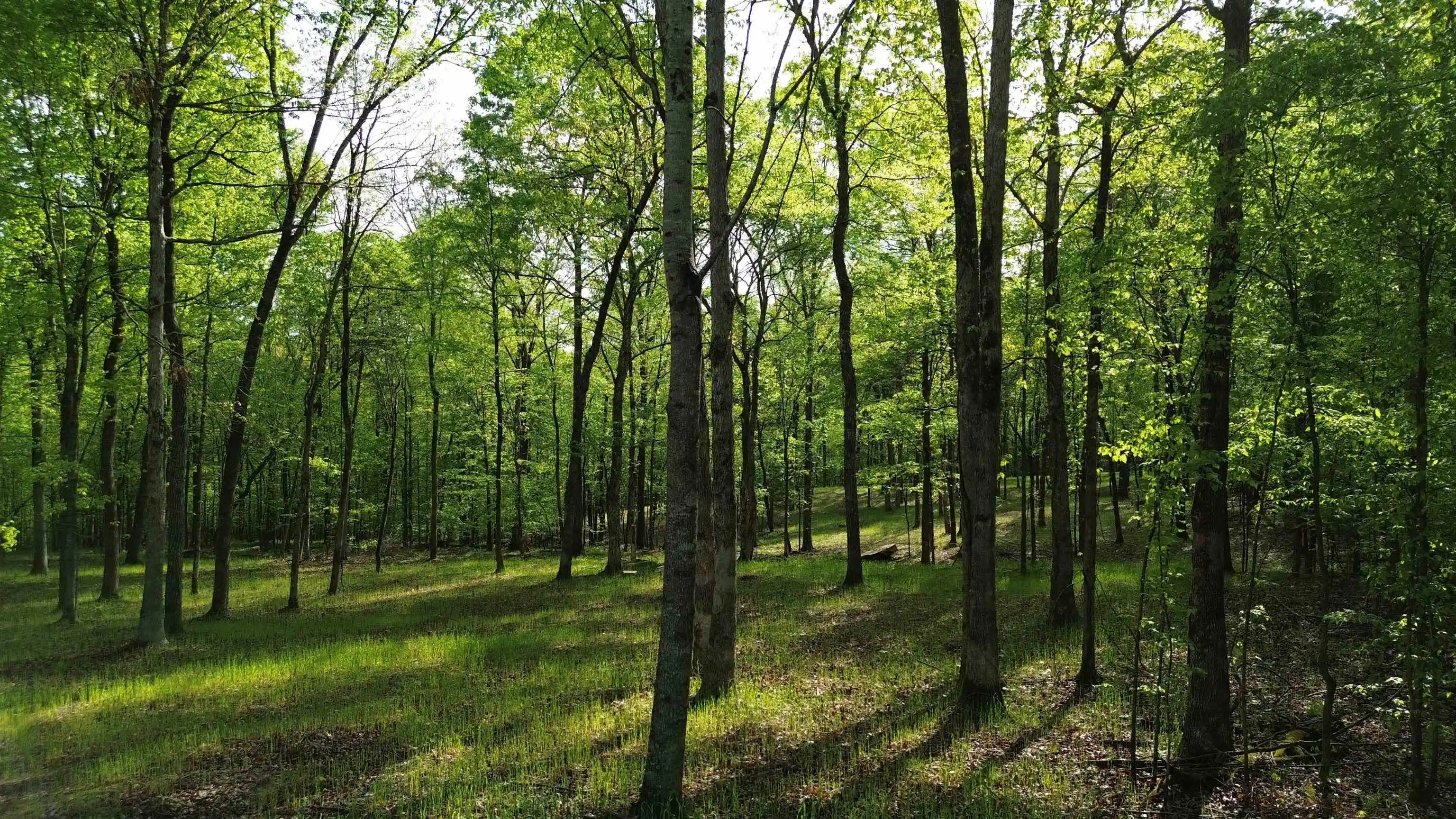 3rd image of 0 Kaw-Liga Dr, Bath Springs, TN 38311 | MLS# 10226976