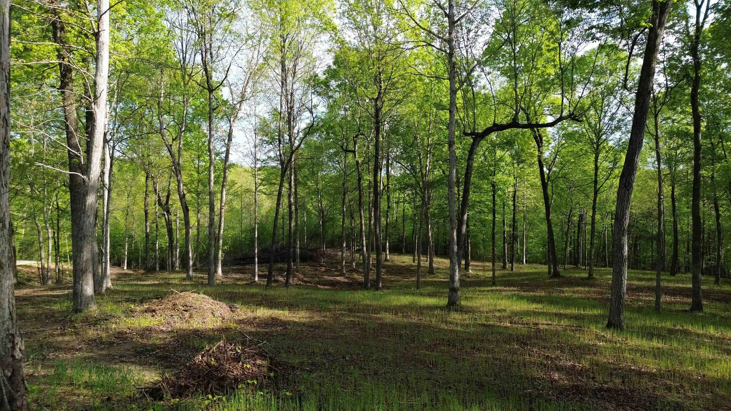 4th image of 0 Kaw-Liga Dr, Bath Springs, TN 38311 | MLS# 10226976