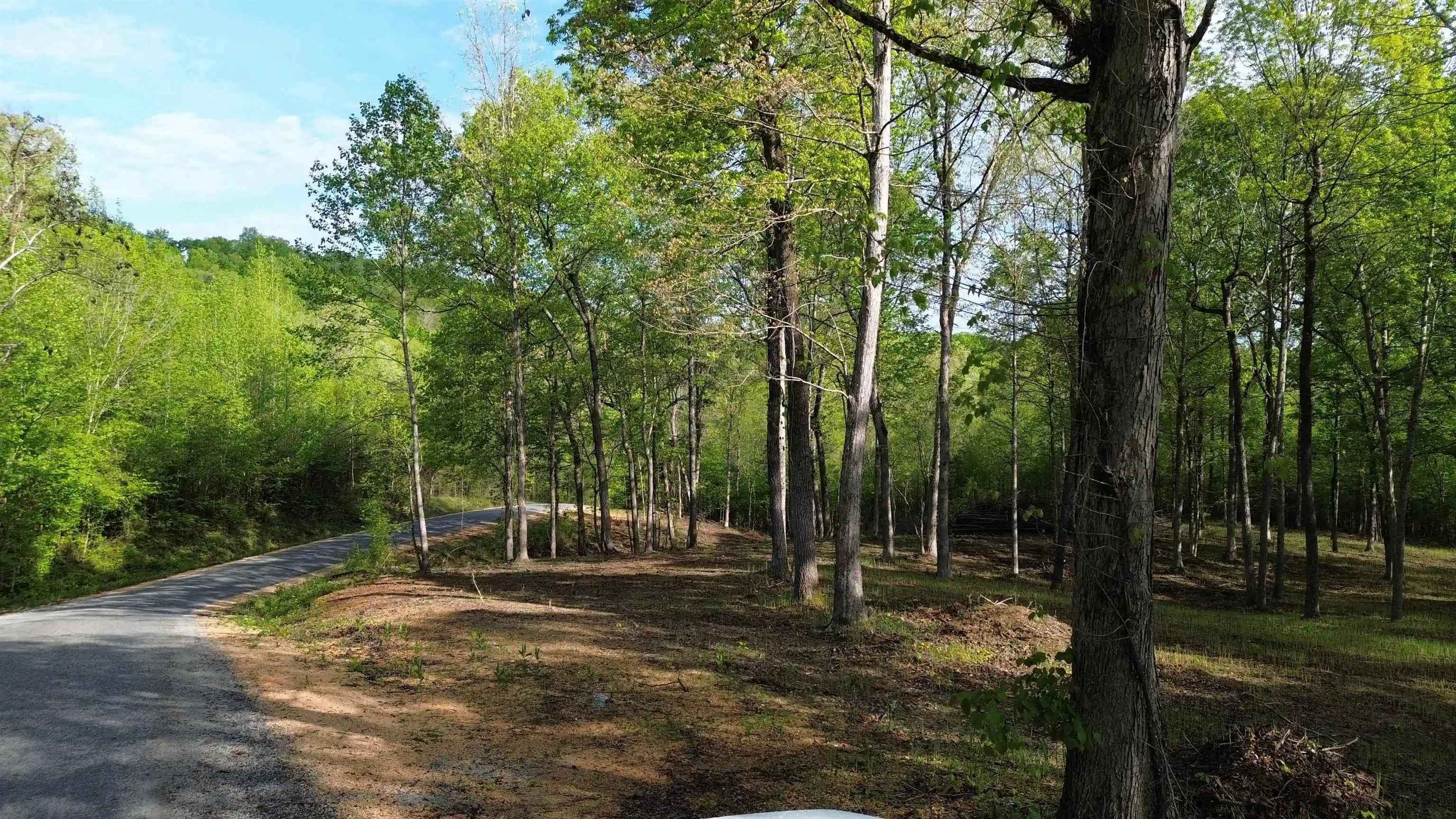 5th image of 0 Kaw Liga Dr, Bath Springs, TN 38311 | MLS# 10226976