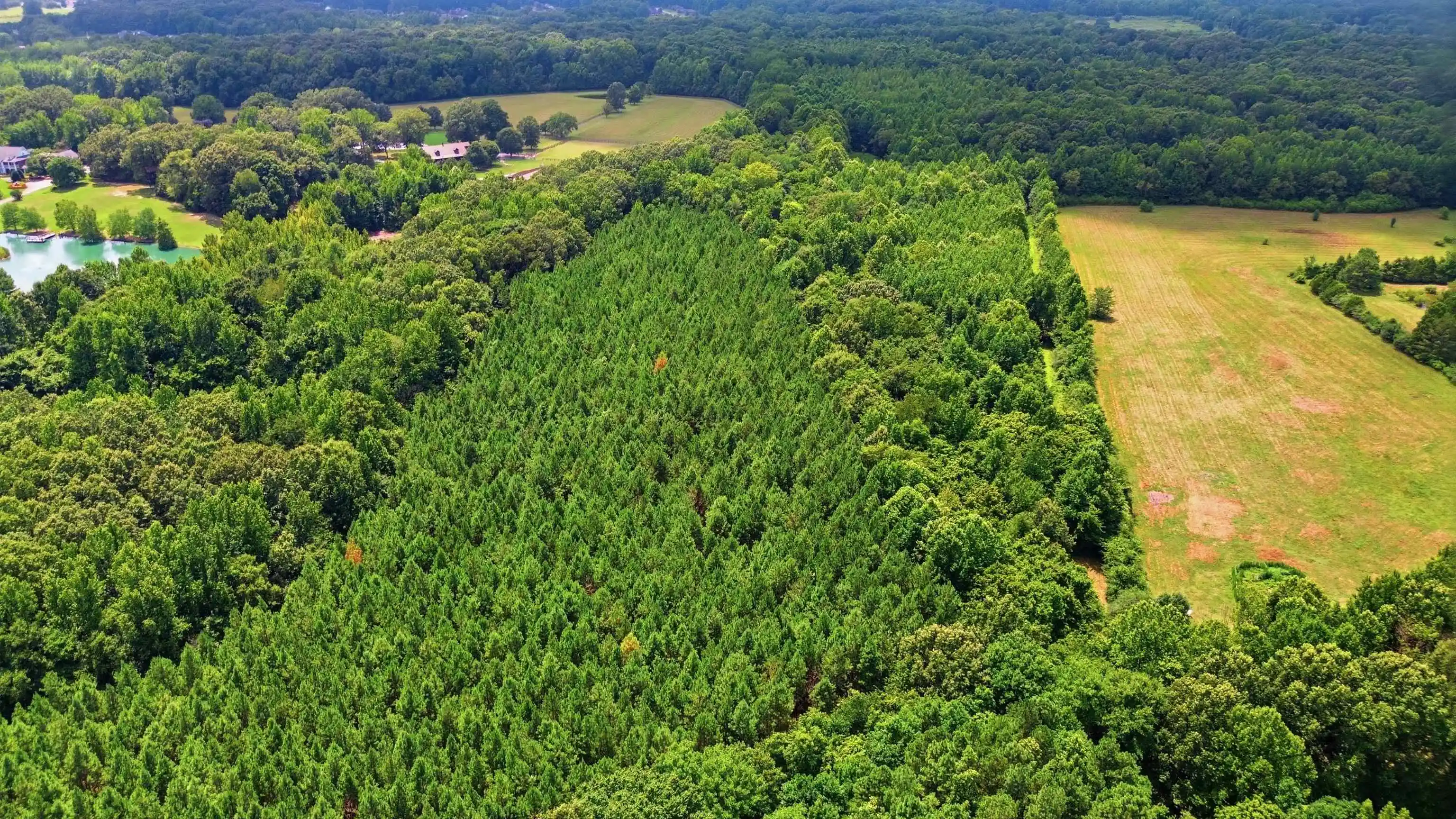 2nd image of 0 Rd, Unicorp/eads, TN 38028 | MLS# 10226979