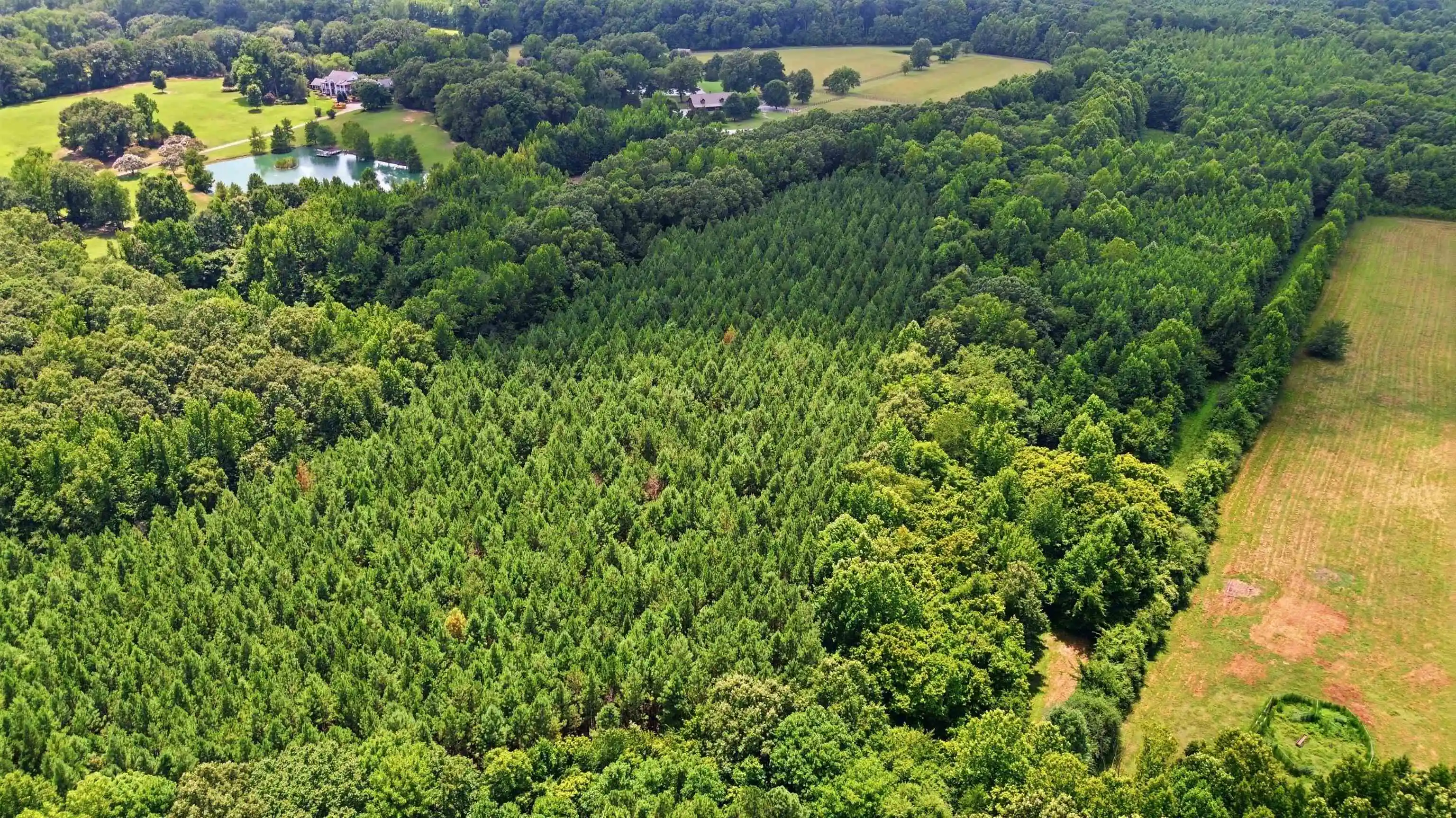 4th image of 0 Rd, Unicorp/eads, TN 38028 | MLS# 10226979