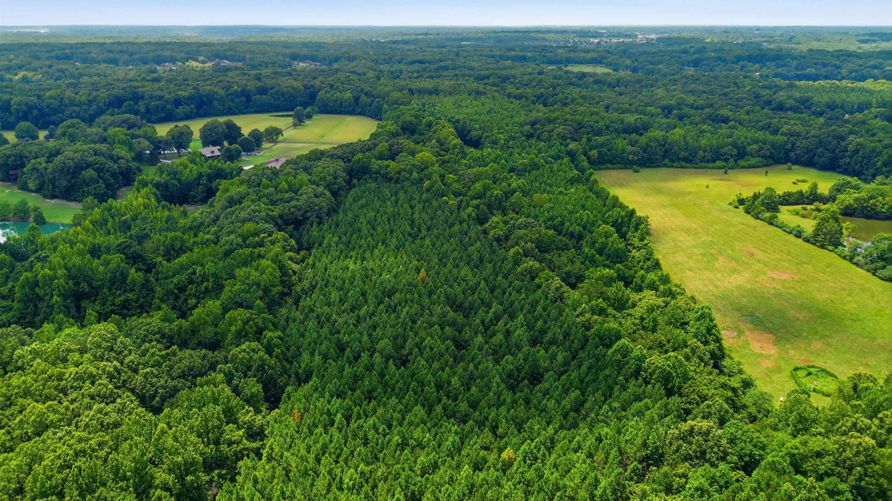 5th image of 0 Rd, Unicorp/eads, TN 38028 | MLS# 10226979