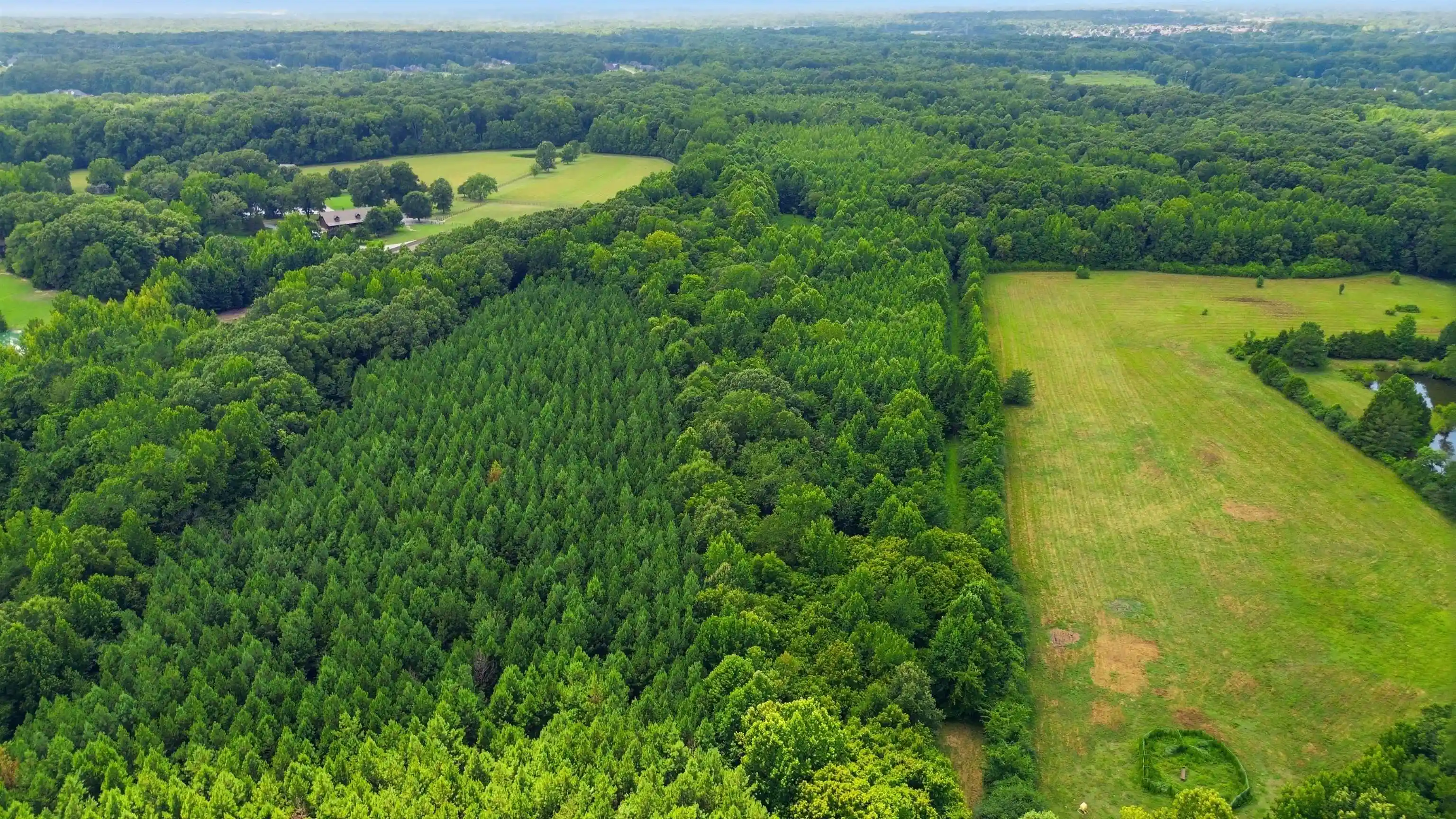 6th image of 0 Rd, Unicorp/eads, TN 38028 | MLS# 10226979