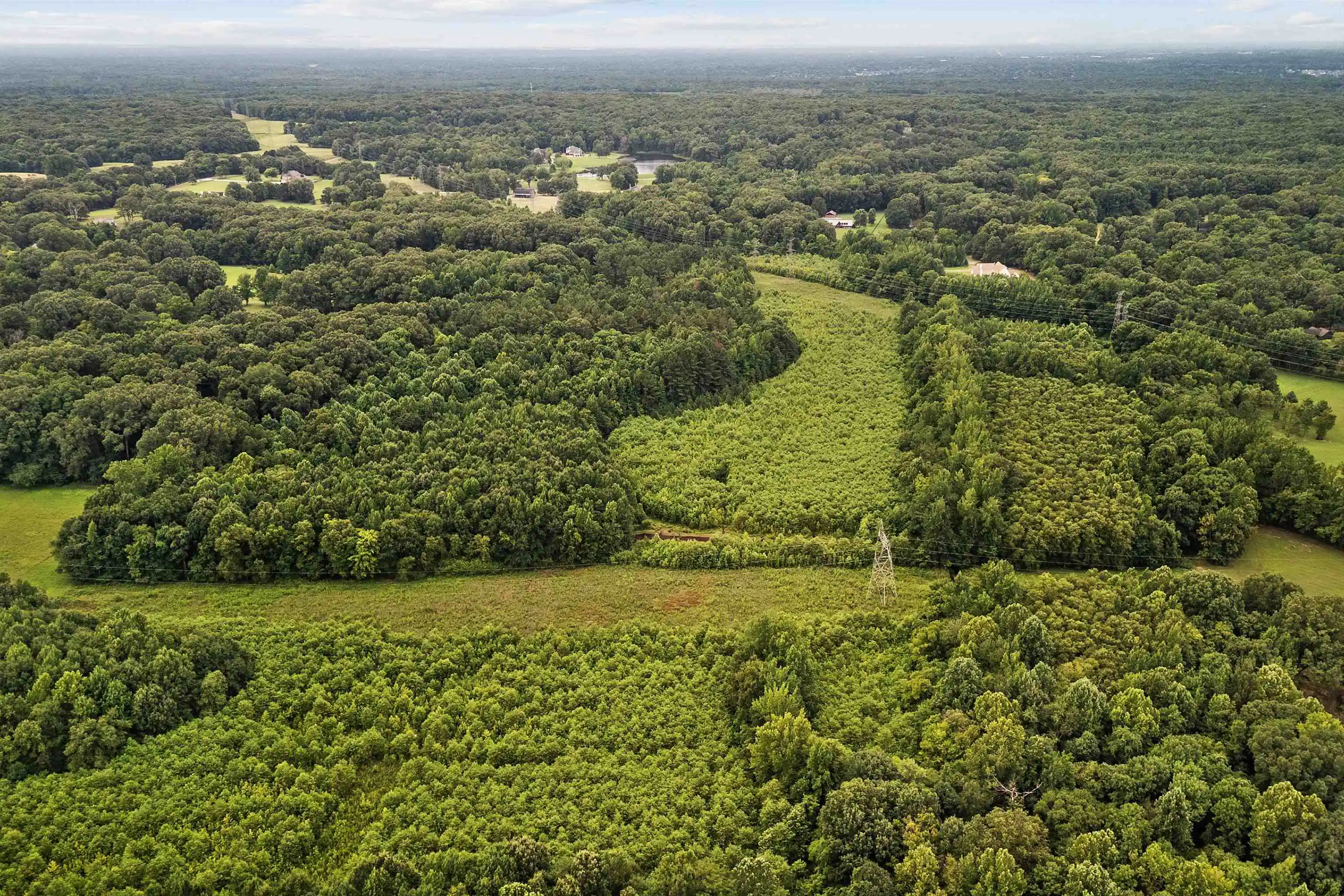 14th image of 0 Monterey Rd, Eads, TN 38028 | MLS# 10226990