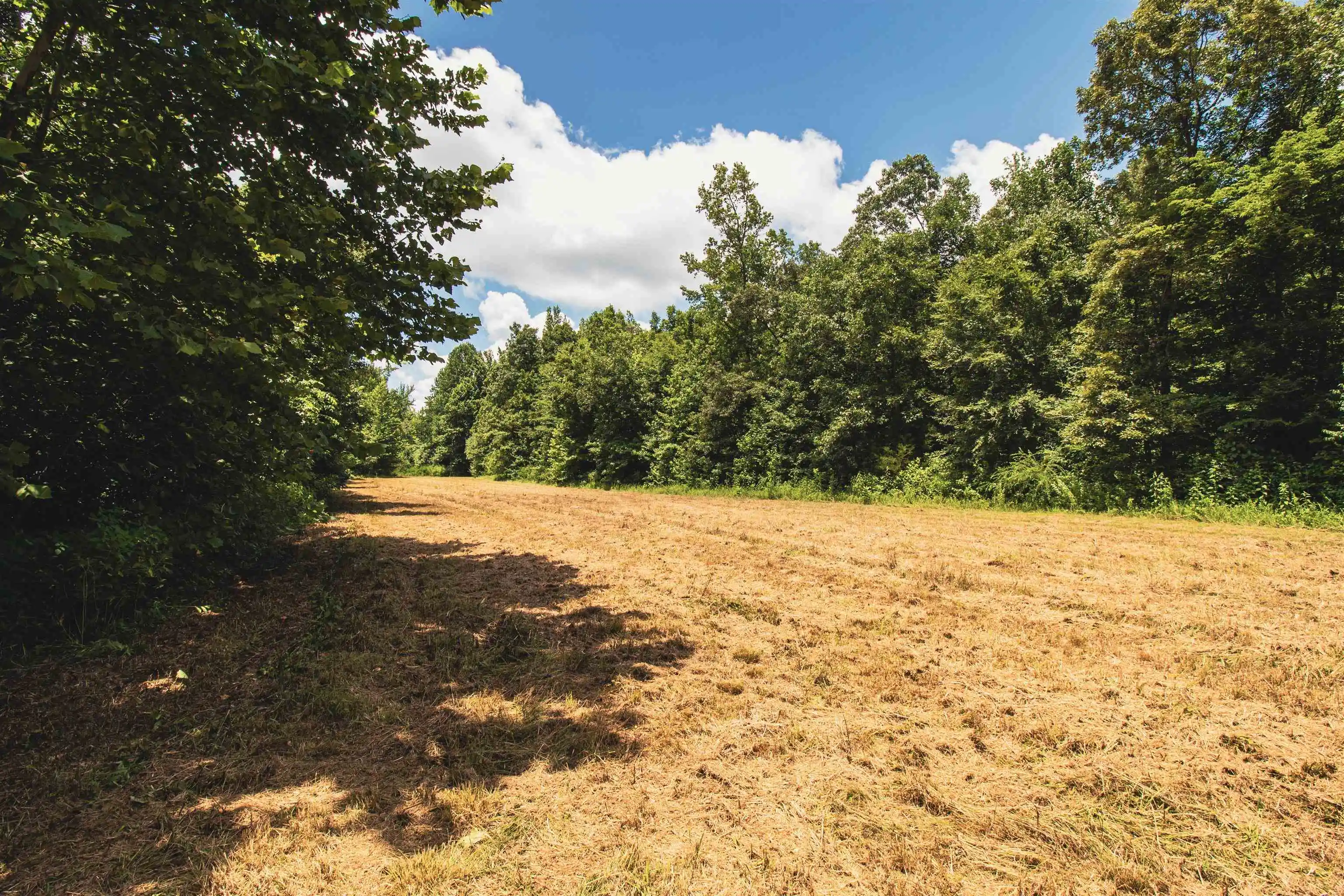 3rd image of 00 100 Hwy, Toone, TN 38381 | MLS# 10227004