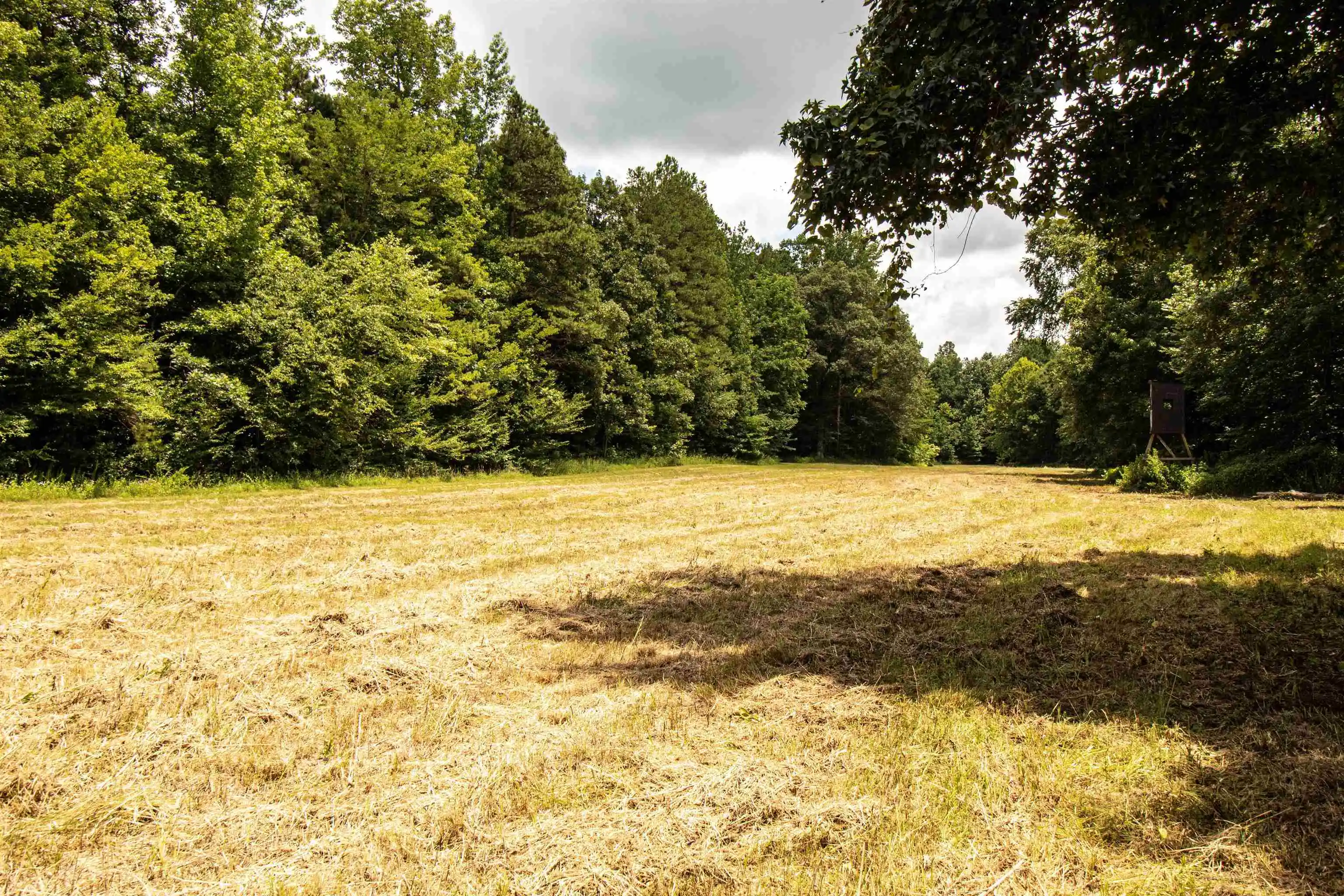 4th image of 00 100 Hwy, Toone, TN 38381 | MLS# 10227004