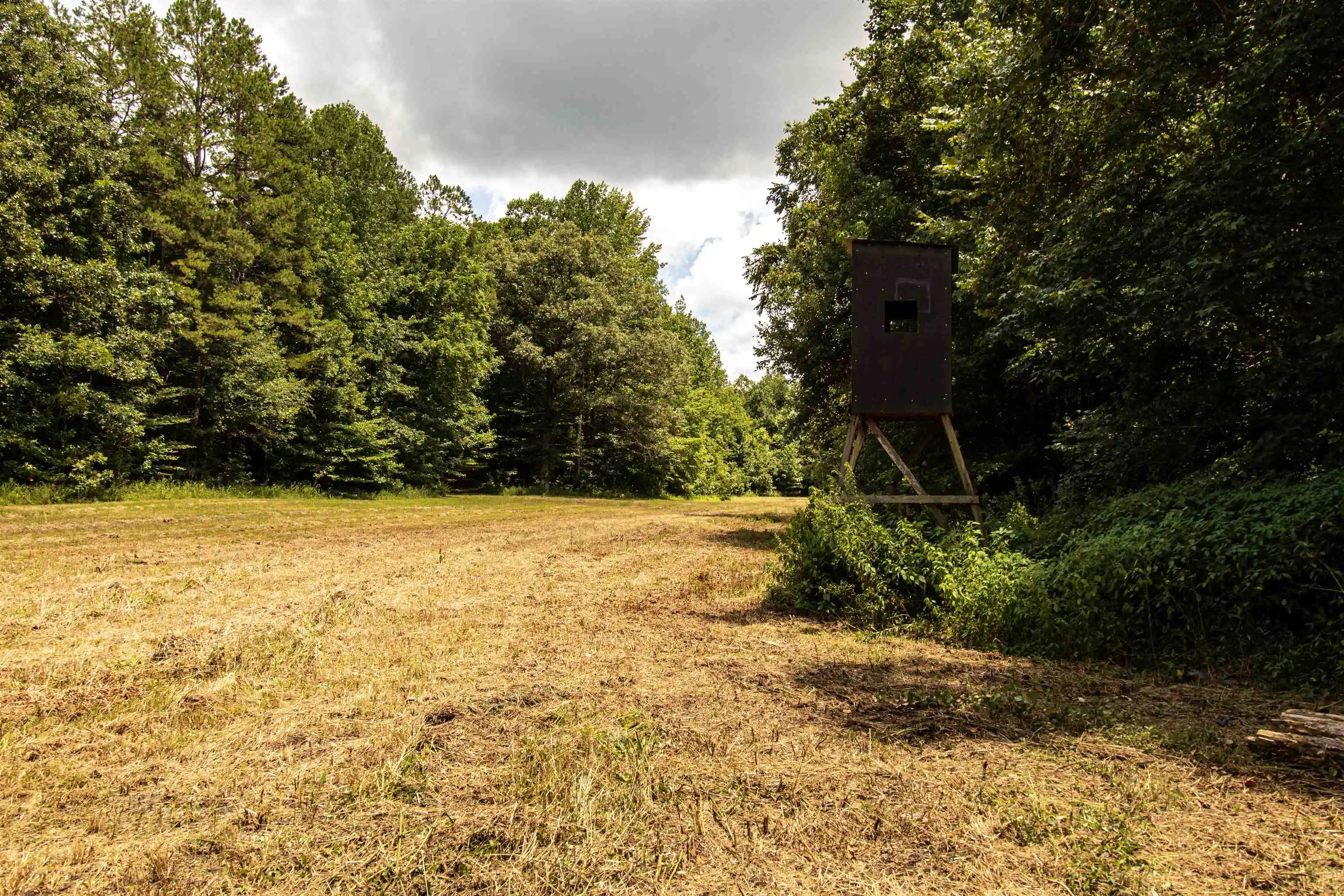 5th image of 00 100 Hwy, Toone, TN 38381 | MLS# 10227004