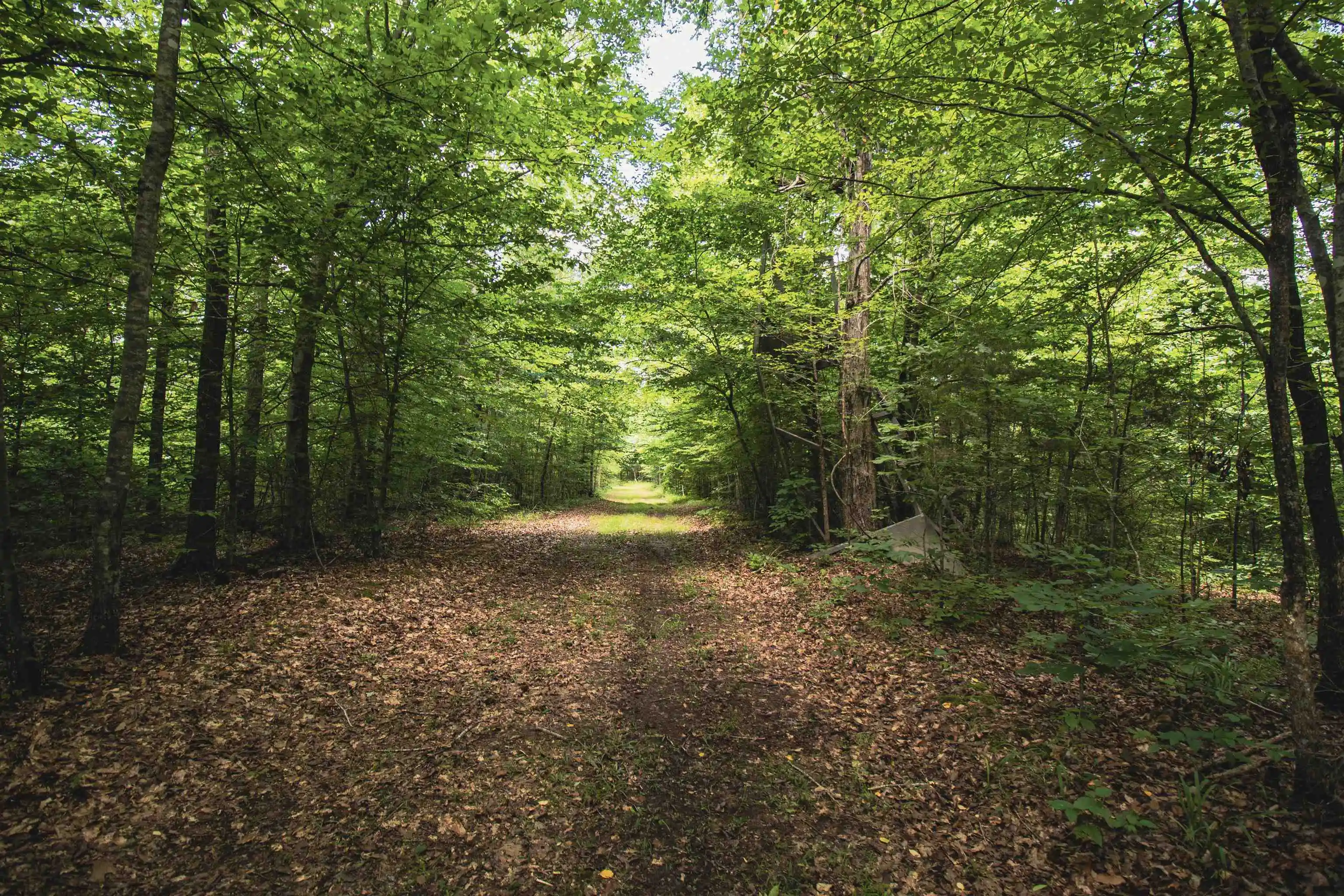 40th image of 00 100 Hwy, Toone, TN 38381 | MLS# 10227004