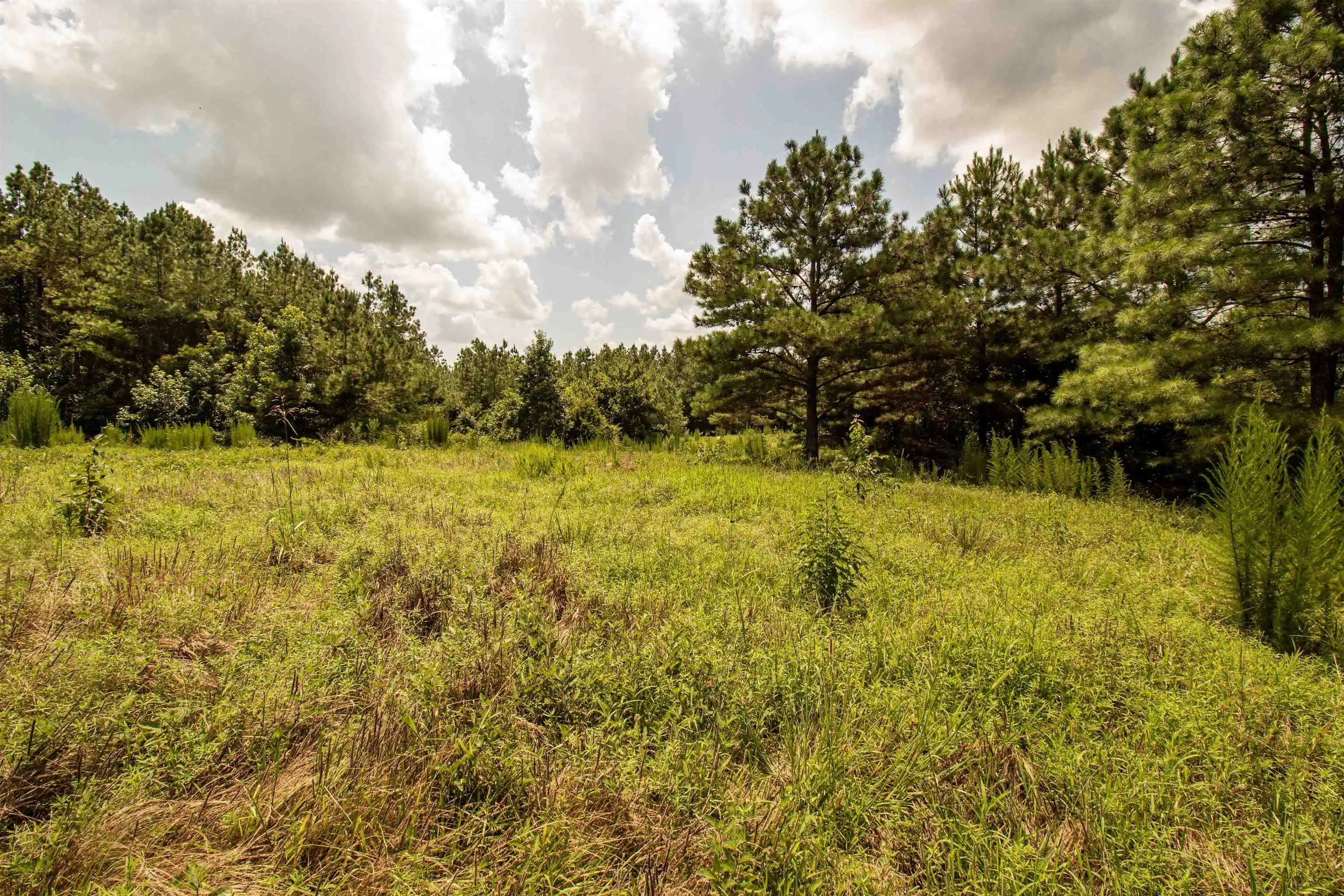 Photo 3 of Land for sale at 441 Roberts Rd, Pinson, TN 38366 | MLS# 10227005 | Listing updated on 2026-10-07