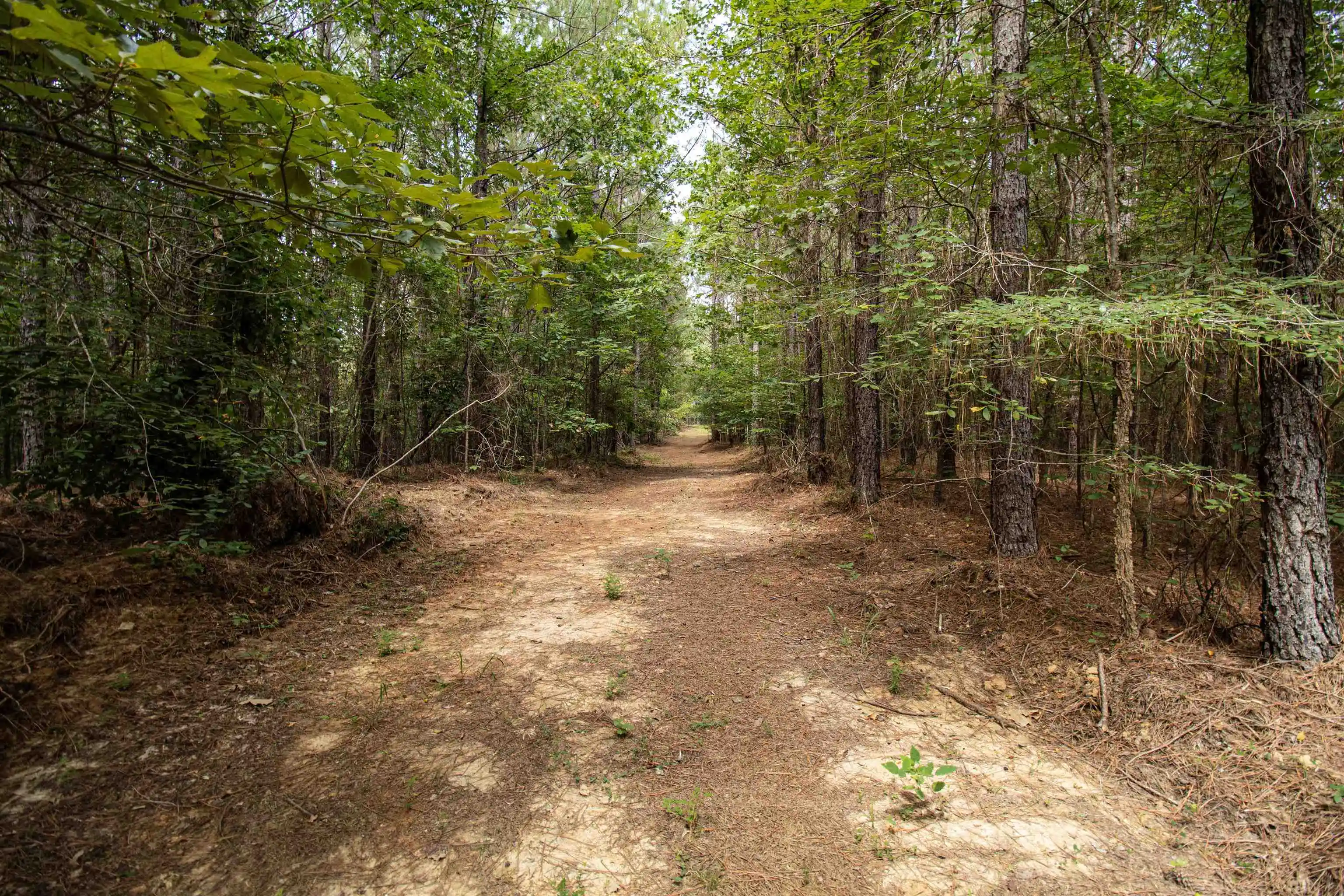 Photo 3 of Land for sale at 441 Roberts Rd, Pinson, TN 38366 | MLS# 10227005 | Listing updated on 2026-10-07