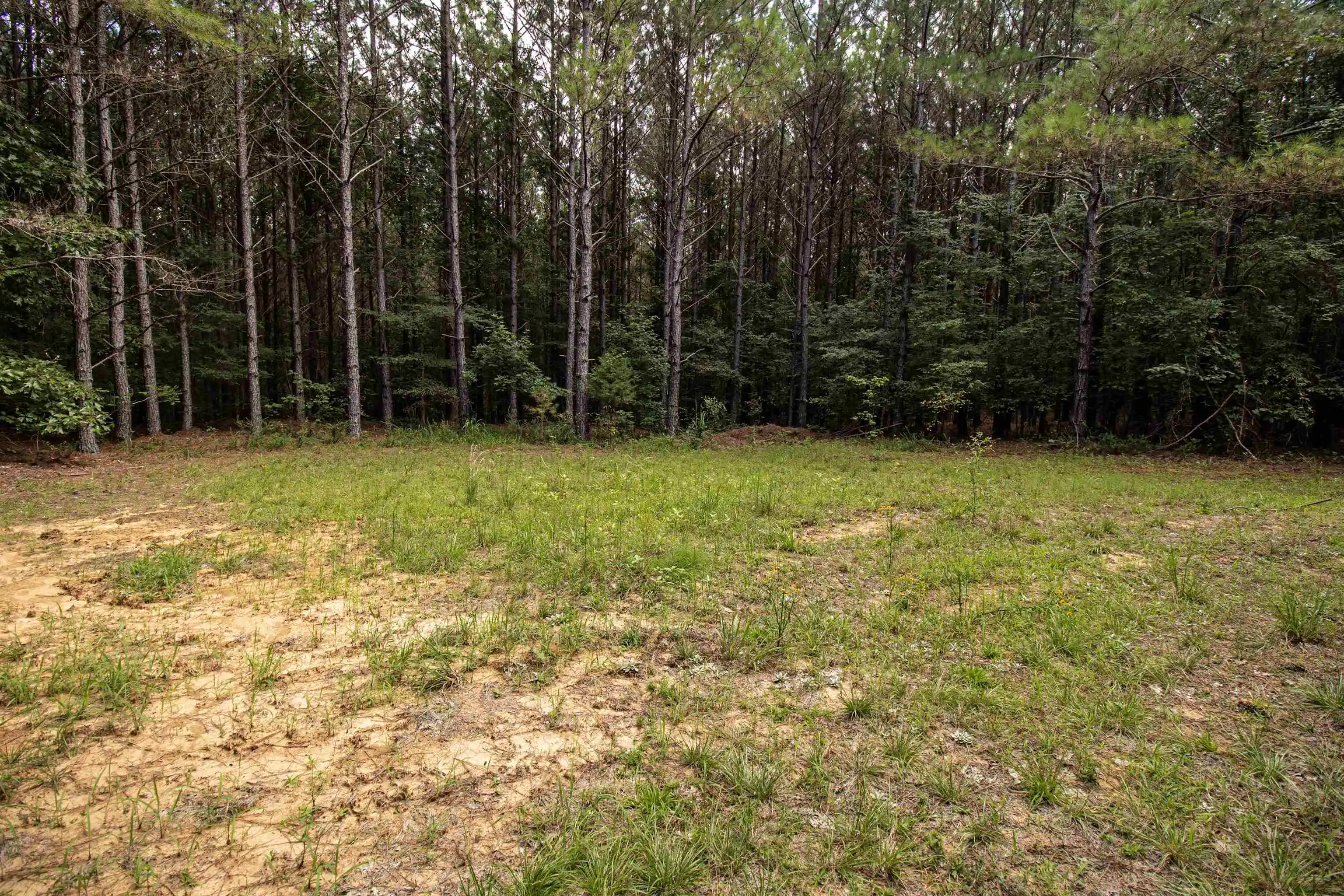 Photo 4 of Land for sale at 441 Roberts Rd, Pinson, TN 38366 | MLS# 10227005 | Listing updated on 2026-10-07