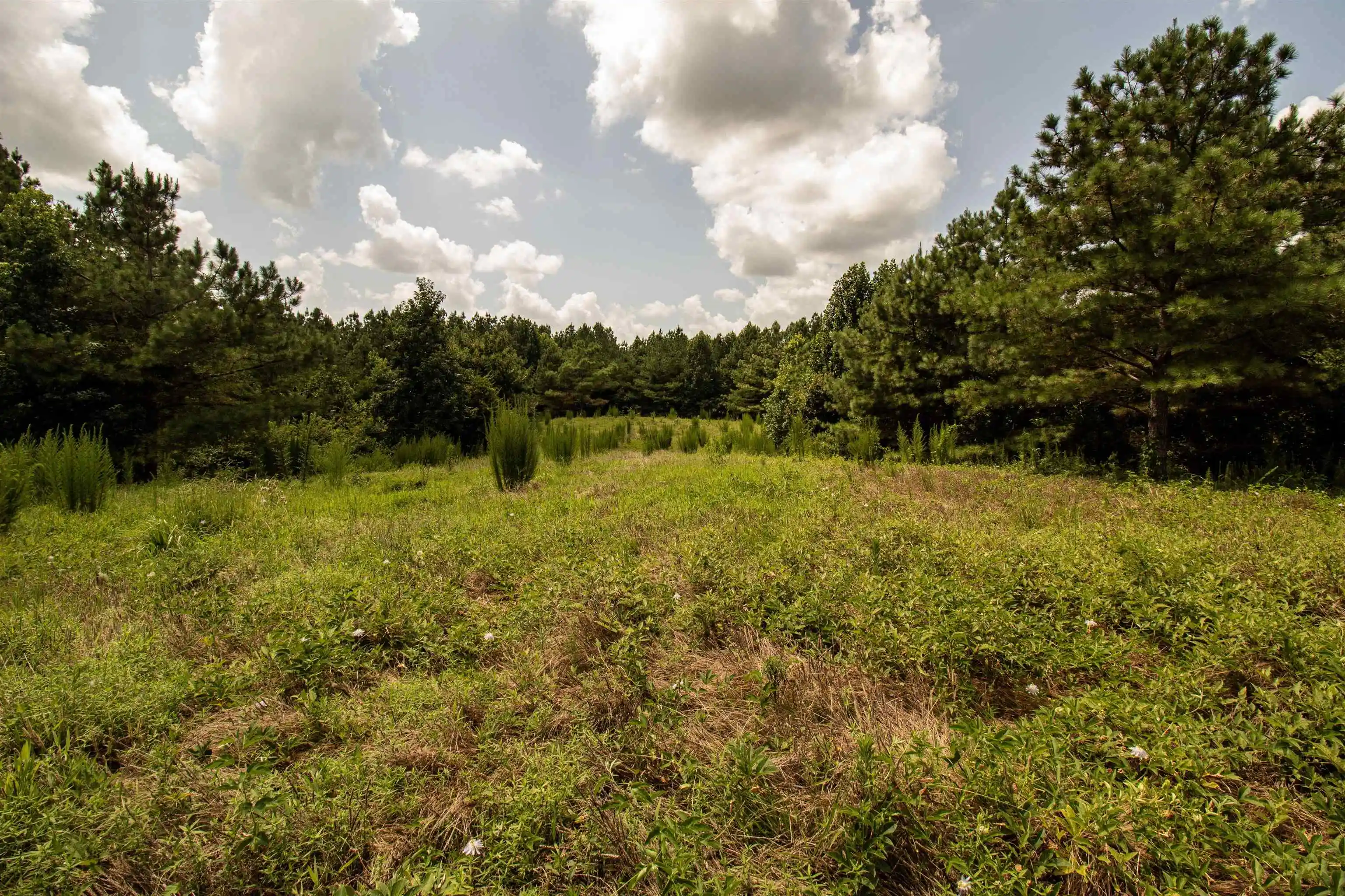 38th image of 441 Roberts Rd, Pinson, TN 38366 | MLS# 10227005