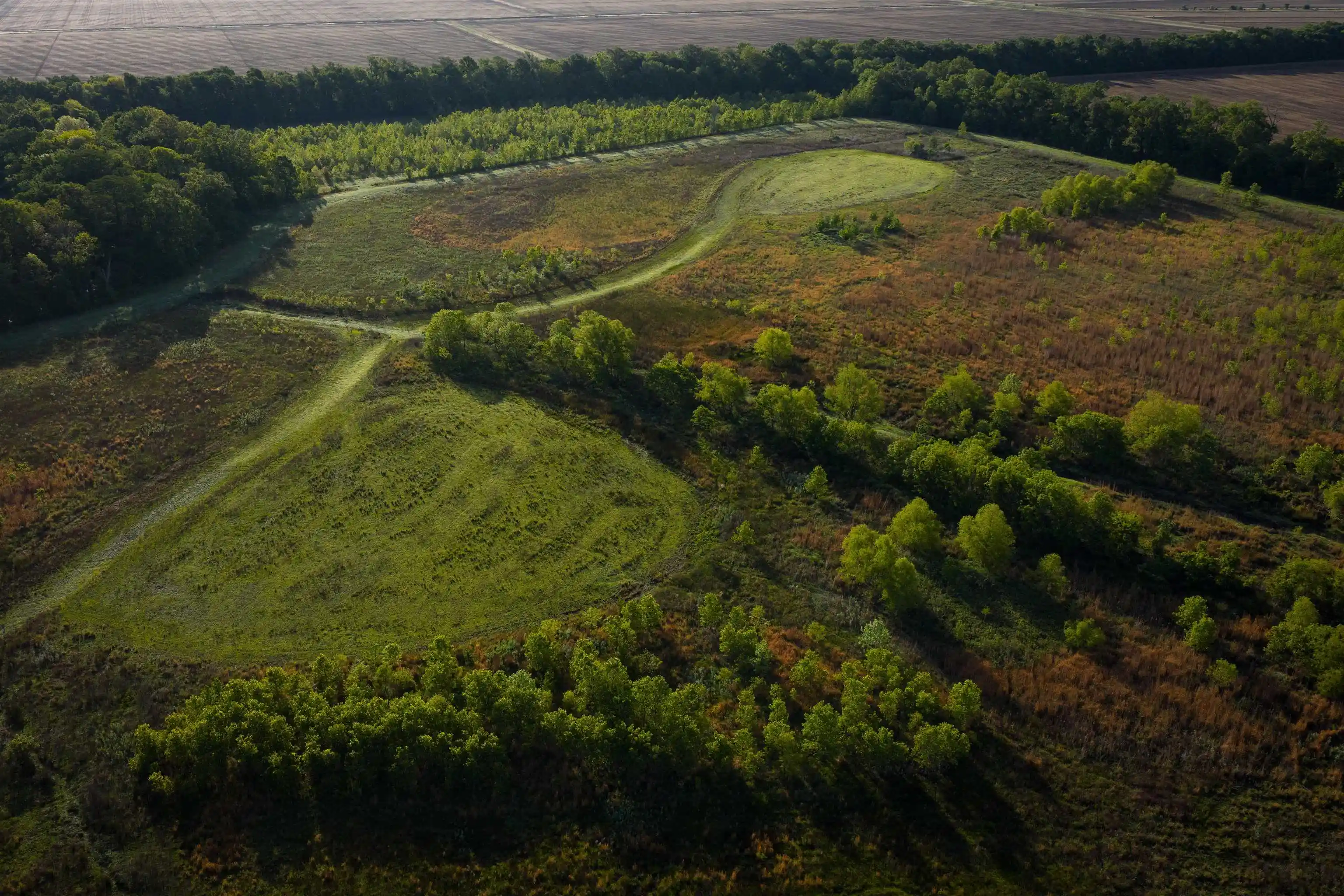 Photo 1 of Land for sale at 00 Counce Rd, Robinsonville, MS 38664 | MLS# 10227007 | Listing updated on 2026-07-27