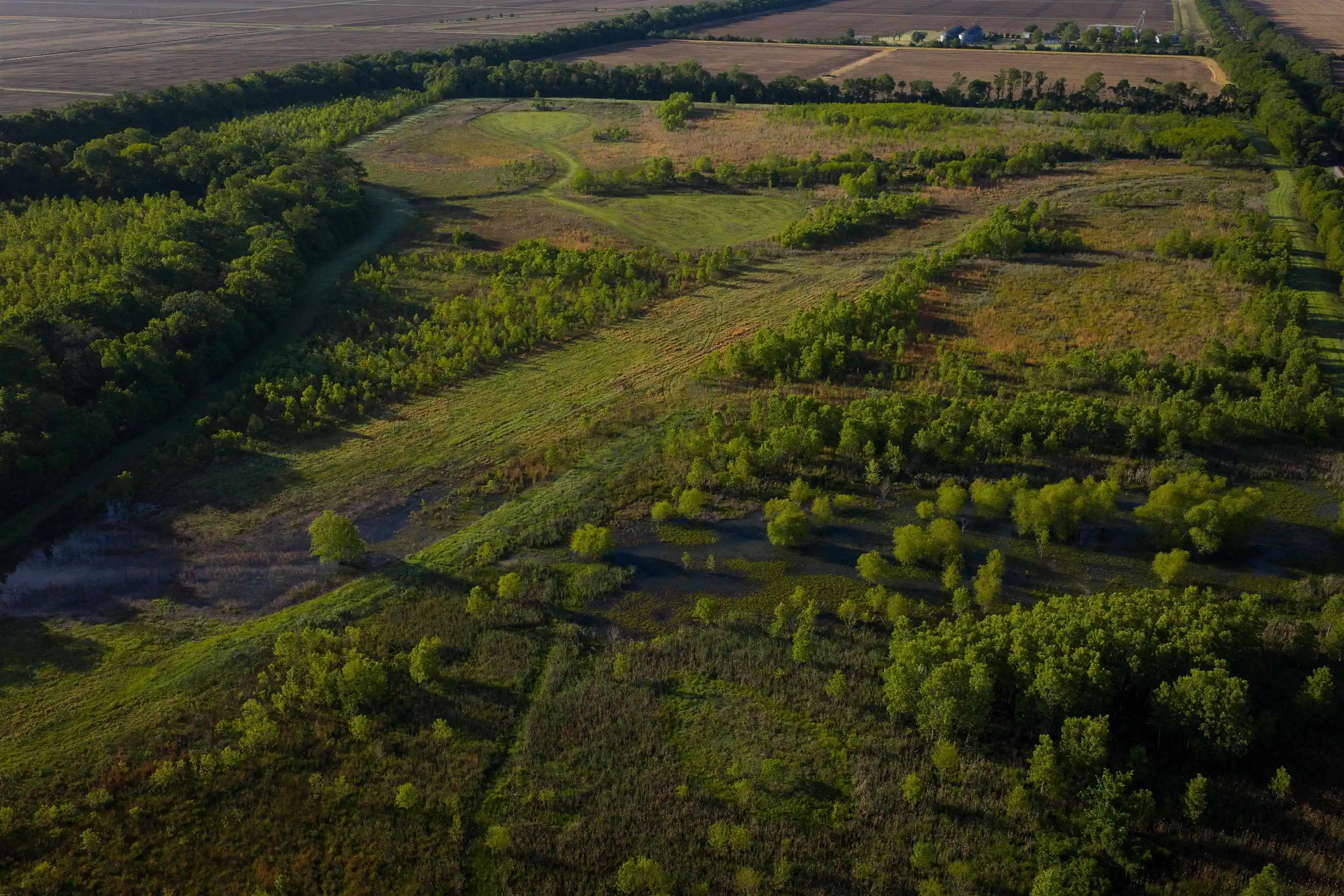Photo 3 of Land for sale at 00 Counce Rd, Robinsonville, MS 38664 | MLS# 10227007 | Listing updated on 2026-07-27