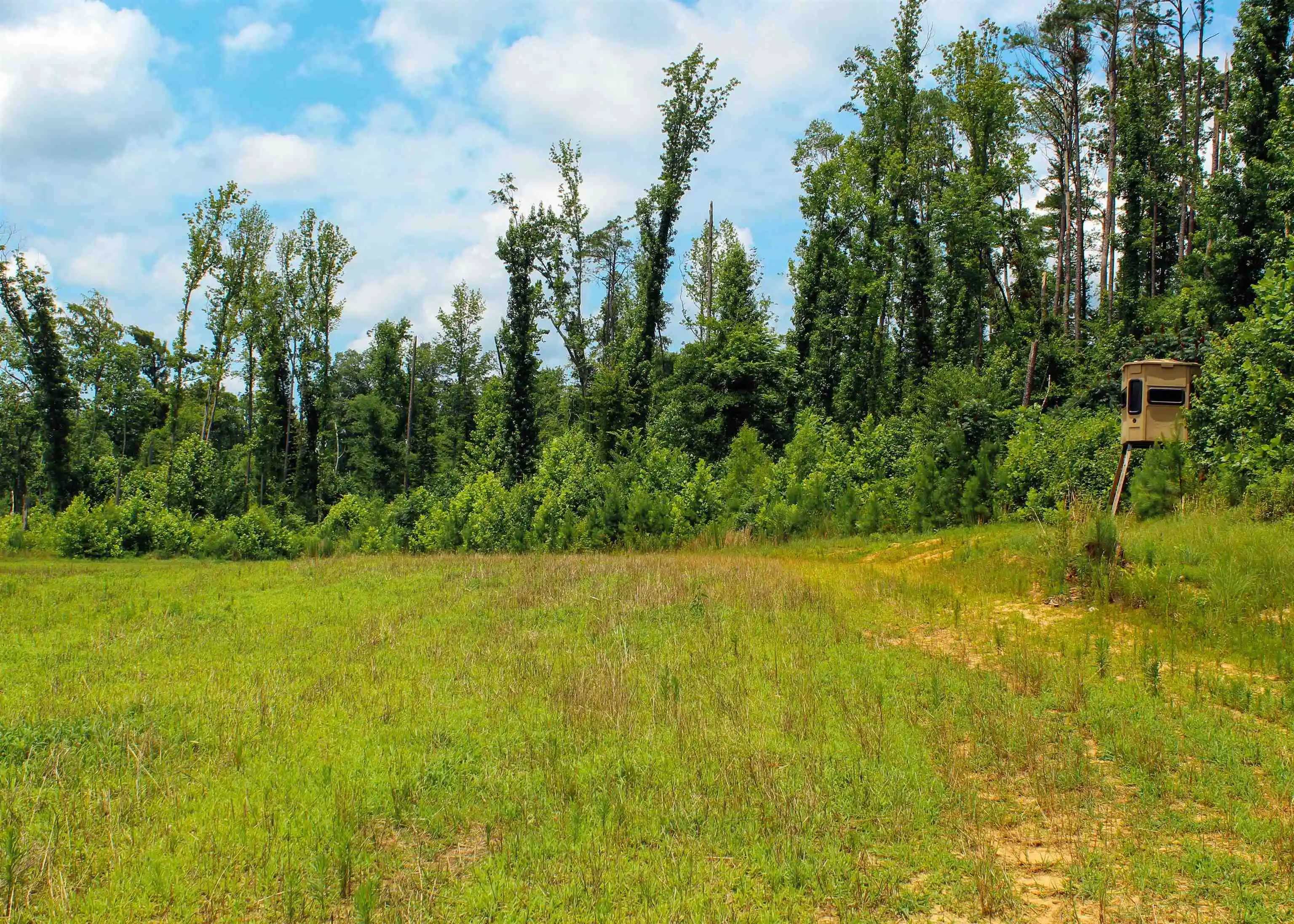 3rd image of 890 Vernie Kirk Rd, Pocahontas, TN 38061 | MLS# 10227014