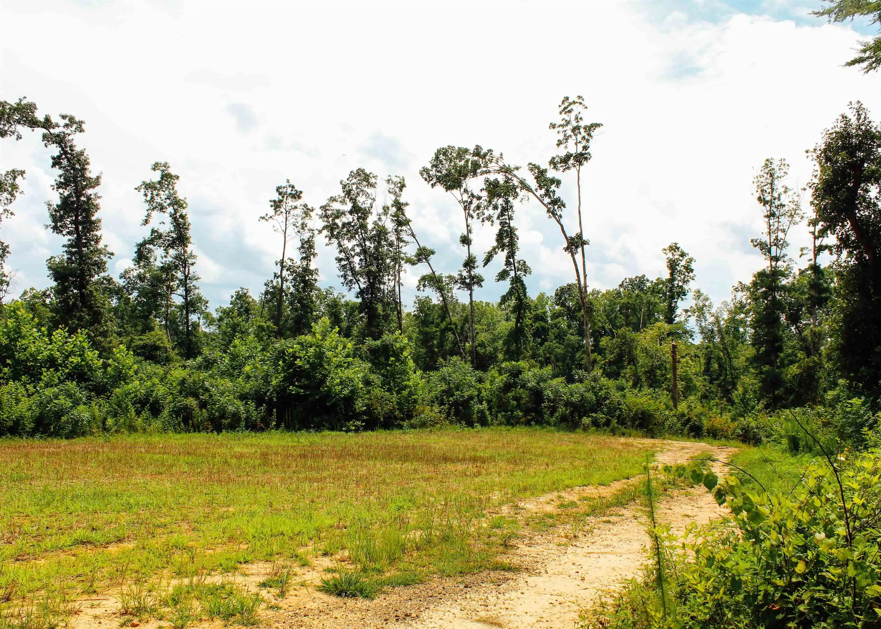 5th image of 890 Vernie Kirk Rd, Pocahontas, TN 38061 | MLS# 10227014