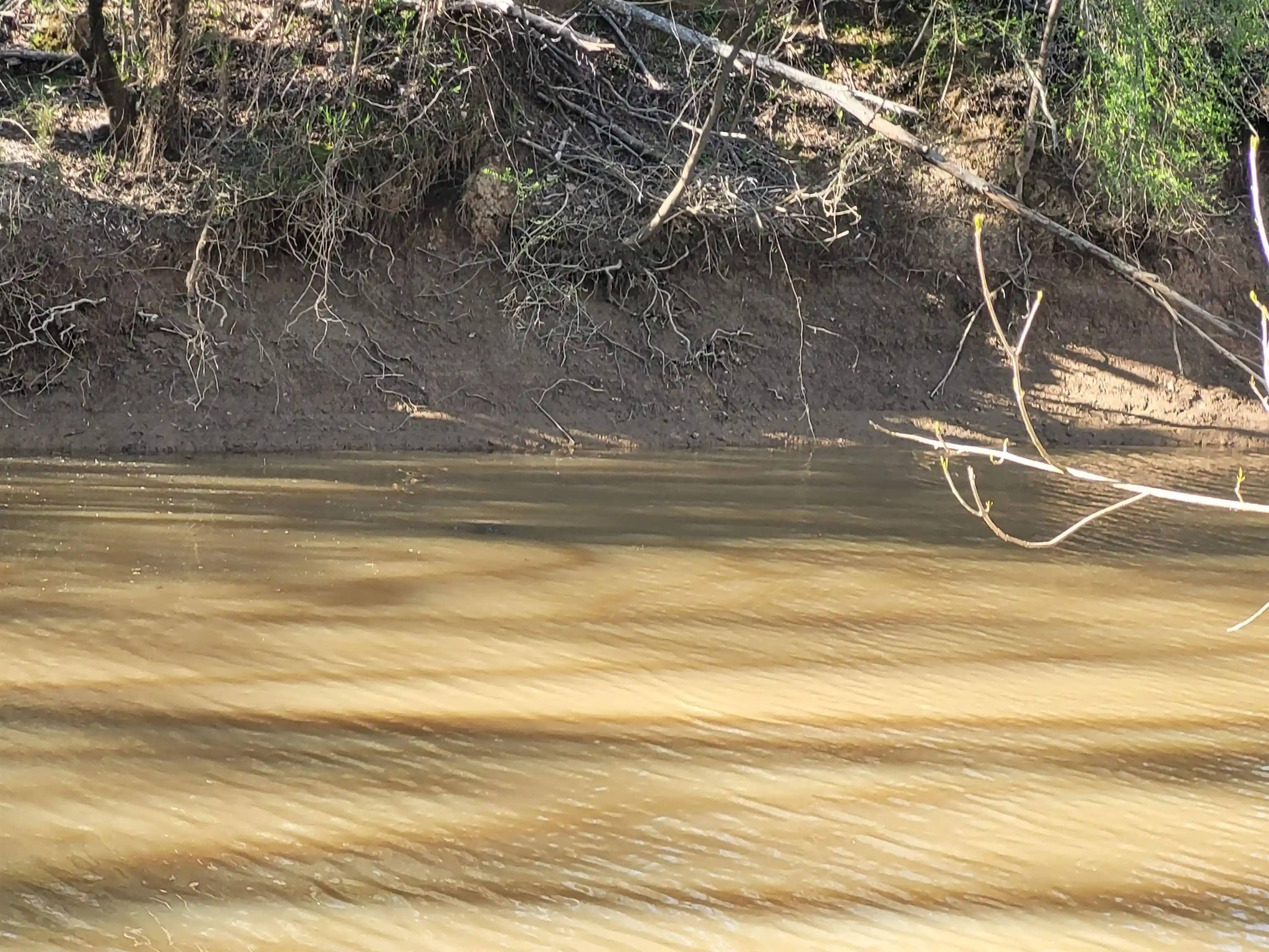 15th image of 835 Lot 61 Toboat Ln, Adamsville, TN 38310 | MLS# 10227076