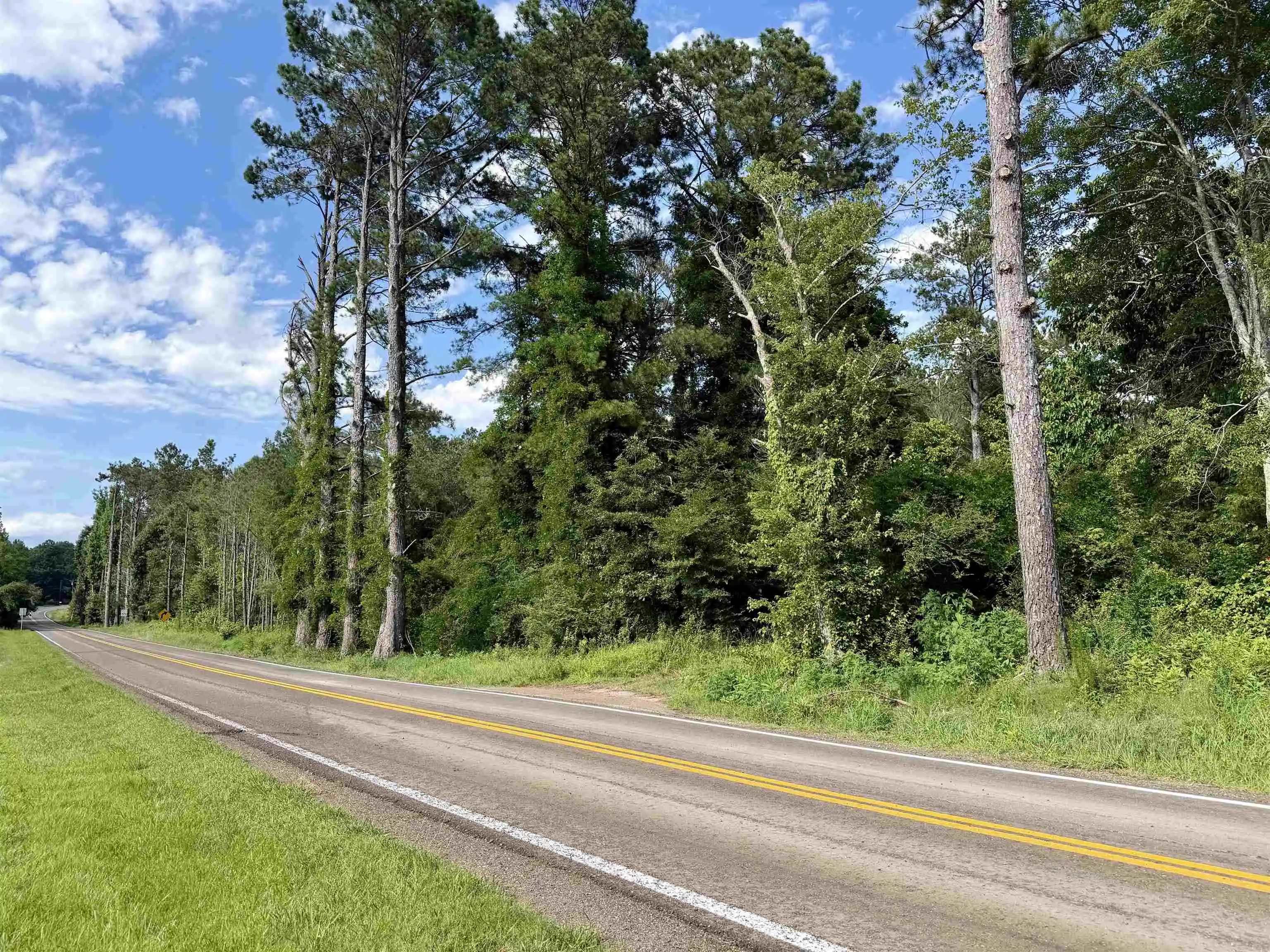 2nd image of 7057 Leapwood Enville Rd, Adamsville, TN 38310 | MLS# 10227083