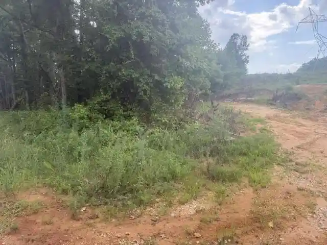 11th image of 200 Bruton Branch Rd, Savannah, TN 38372 | MLS# 10227094