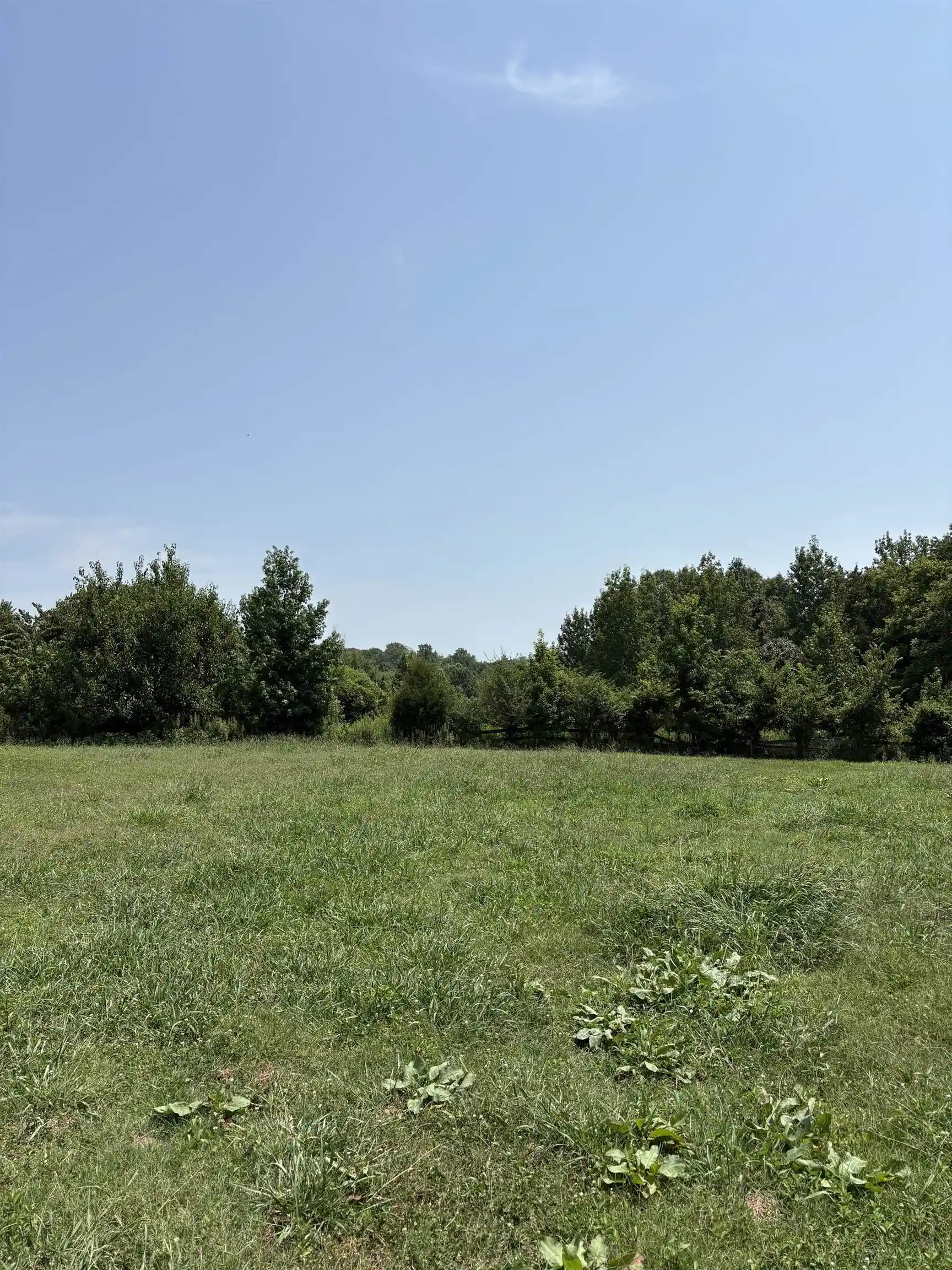 5th image of 6473 51 Hwy, Ripley, TN 38063 | MLS# 10227111