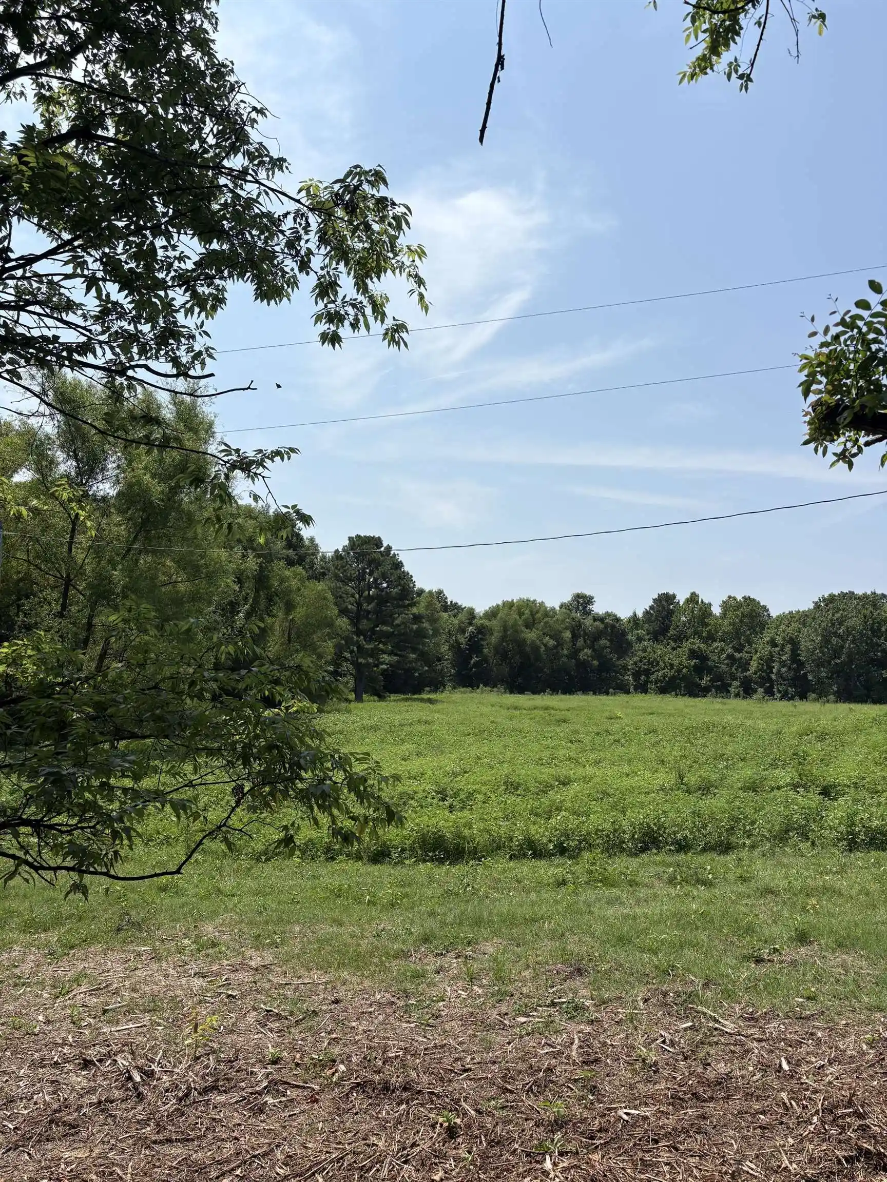 16th image of 6473 51 Hwy, Ripley, TN 38063 | MLS# 10227111