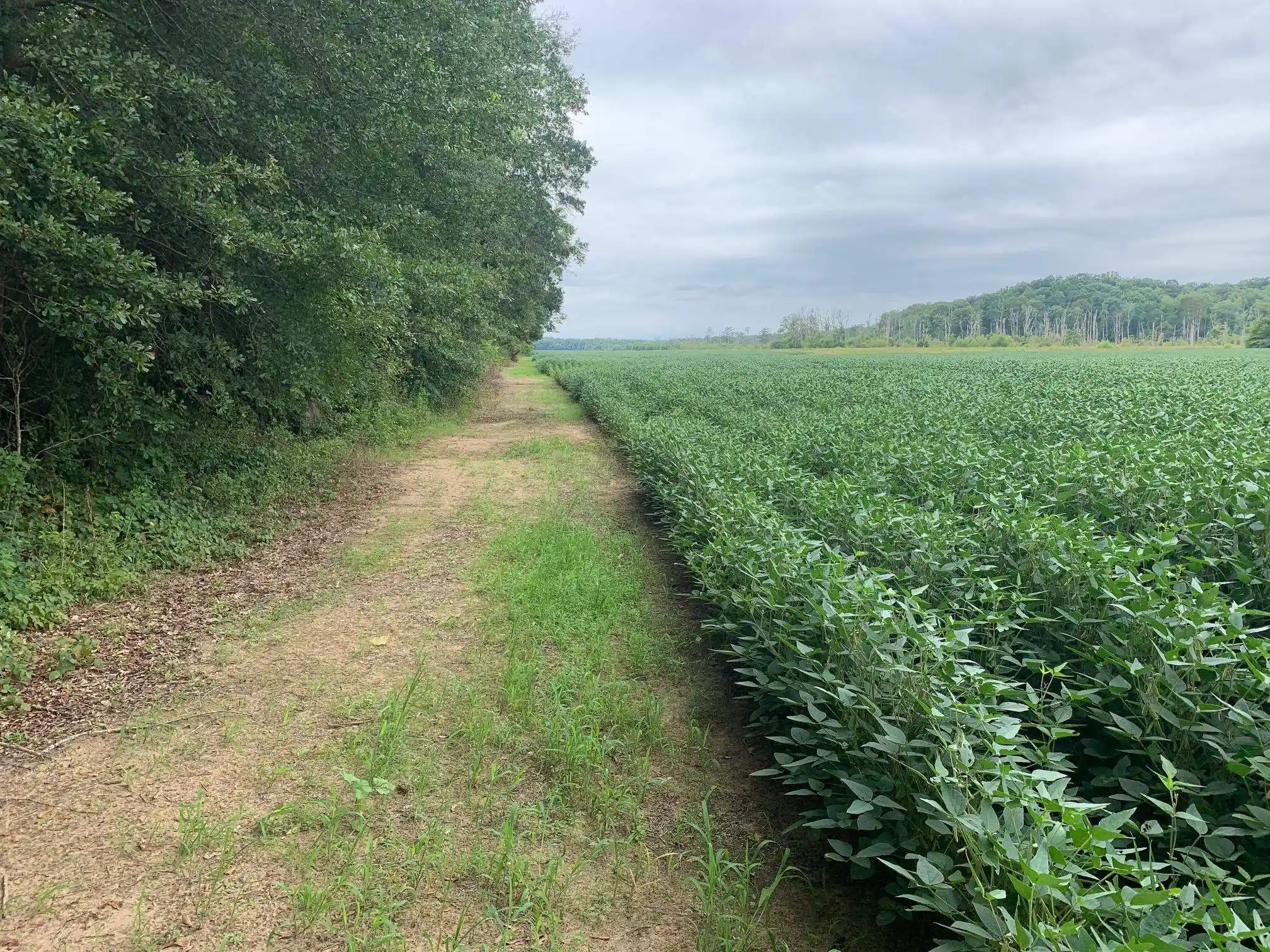 2nd image of 0 Hwy 57 Hwy, Ramer, TN 38367 | MLS# 10227139