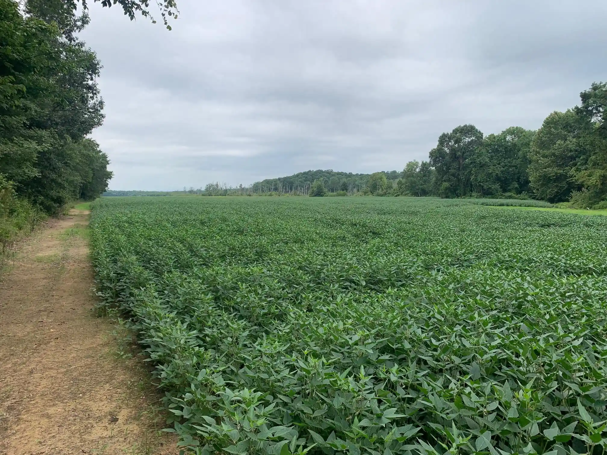 22nd image of 0 Hwy 57 Hwy, Ramer, TN 38367 | MLS# 10227139