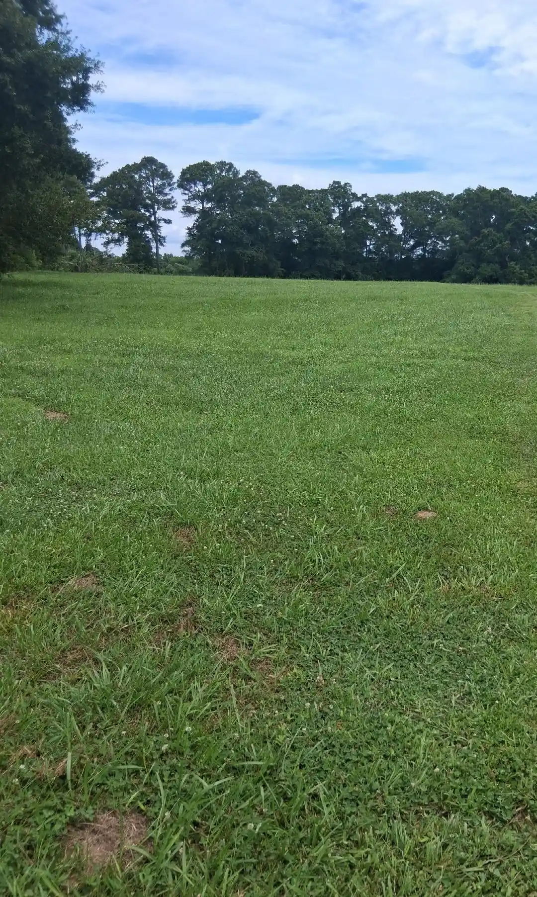 1st image of 1434 Main St, Albertville, AL 35951 | MLS# 10227186