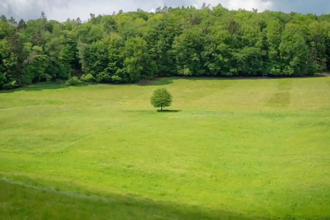 1st image of 11926 Stable View Dr, Eads, TN 38028 | MLS# 10227231