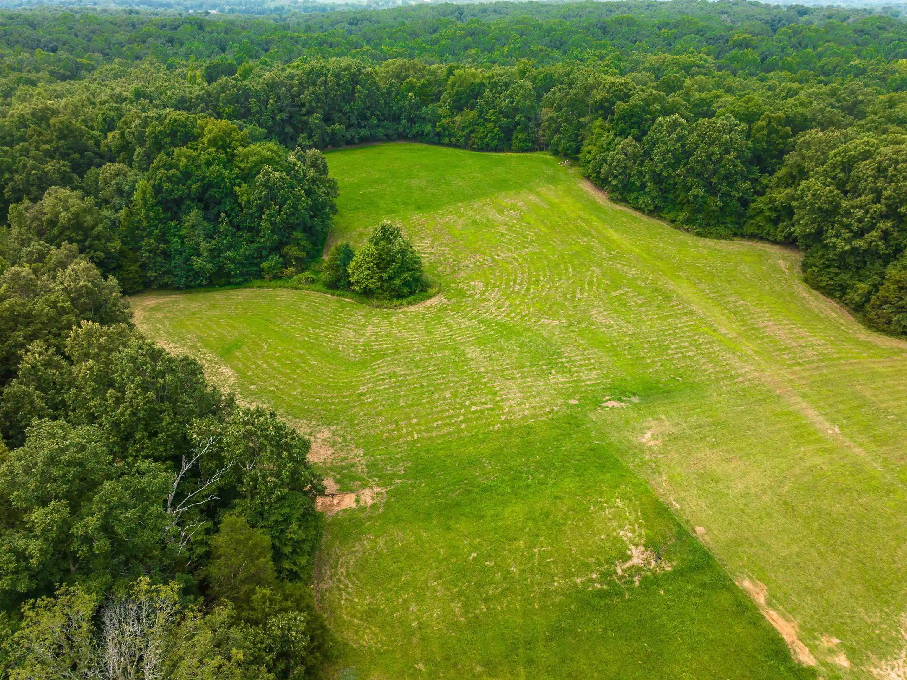 34th image of 2640 Old Jackson Rd, Somerville, TN 38068 | MLS# 10227440