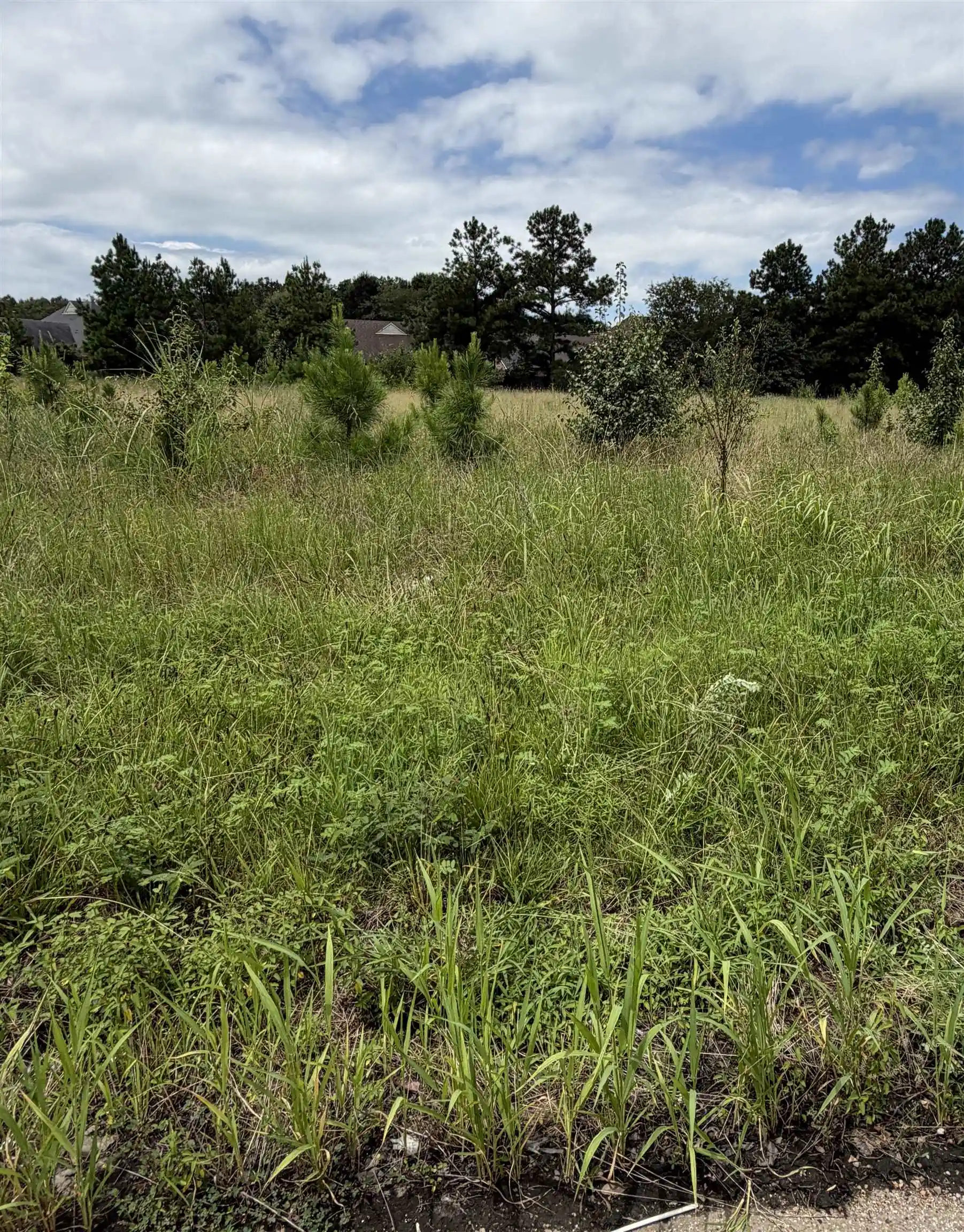 Photo 3 of Land for sale at 0 Hacks Cross Rd, Memphis, TN 38125 | MLS# 10227475 | Listing updated on 2026-08-03