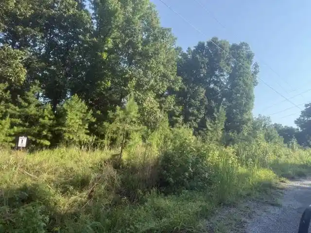 Photo 1 of Land for sale at Tract 1 Belew Holw Hl Rd, Waynesboro, TN 38485 | MLS# 10227520 | Listing updated on 2026-08-18