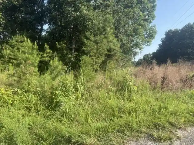 Photo 2 of Land for sale at Tract 1 Belew Holw Hl Rd, Waynesboro, TN 38485 | MLS# 10227520 | Listing updated on 2026-08-18