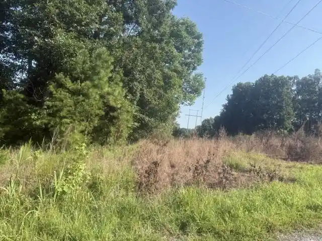 Photo 3 of Land for sale at Tract 1 Belew Holw Hl Rd, Waynesboro, TN 38485 | MLS# 10227520 | Listing updated on 2026-08-18