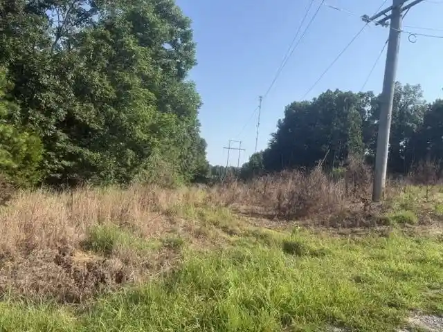 Photo 3 of Land for sale at Tract 1 Belew Holw Hl Rd, Waynesboro, TN 38485 | MLS# 10227520 | Listing updated on 2026-08-18