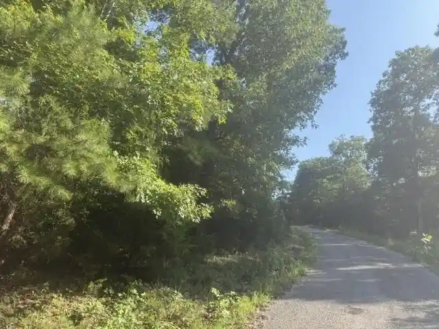 Photo 1 of Land for sale at Tract 2 Belew Holw Hl Rd, Waynesboro, TN 38485 | MLS# 10227523 | Listing updated on 2026-08-18